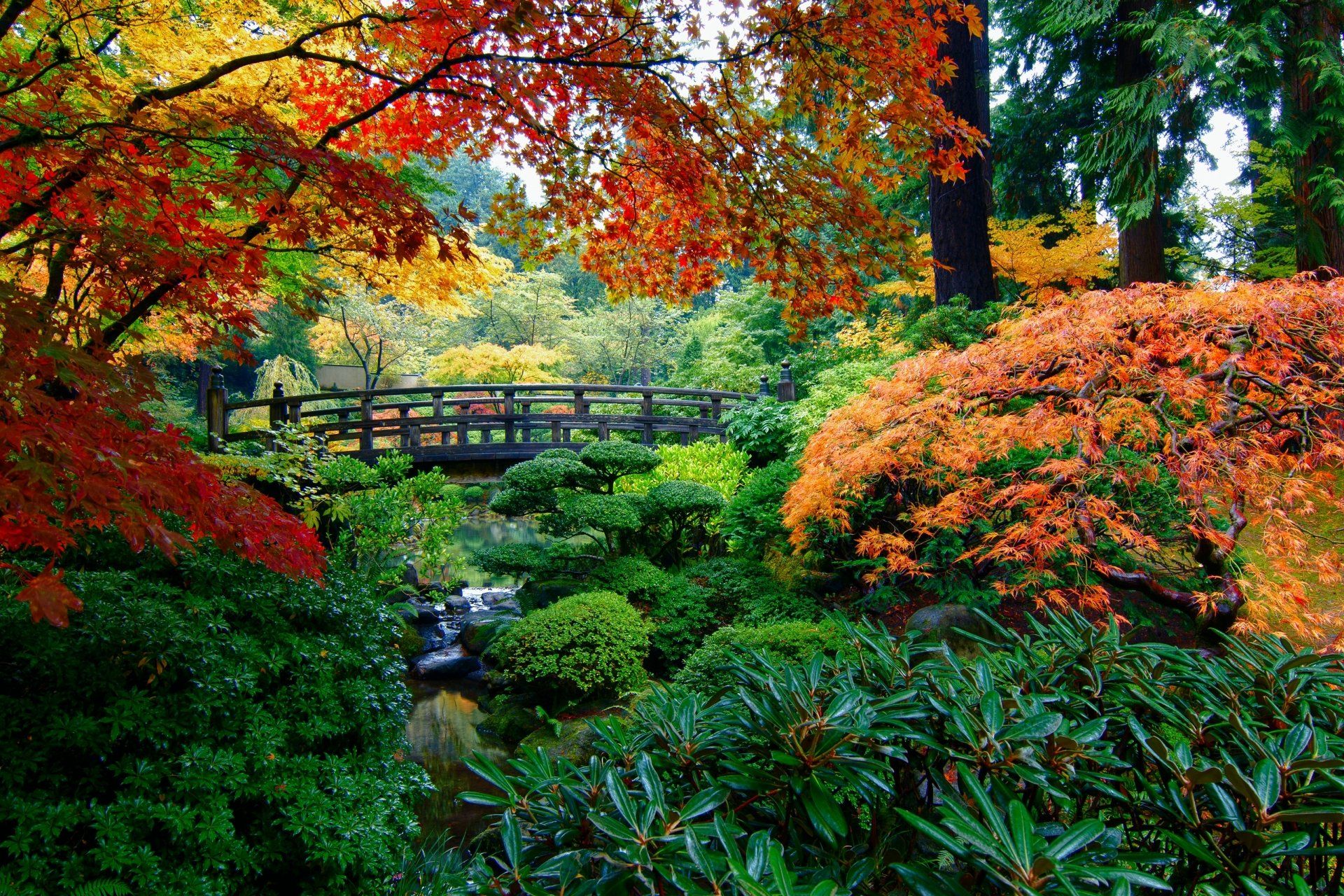 1920x1280 Serene Japanese Garden: HD Wallpaper of Autumn Beautyx2133