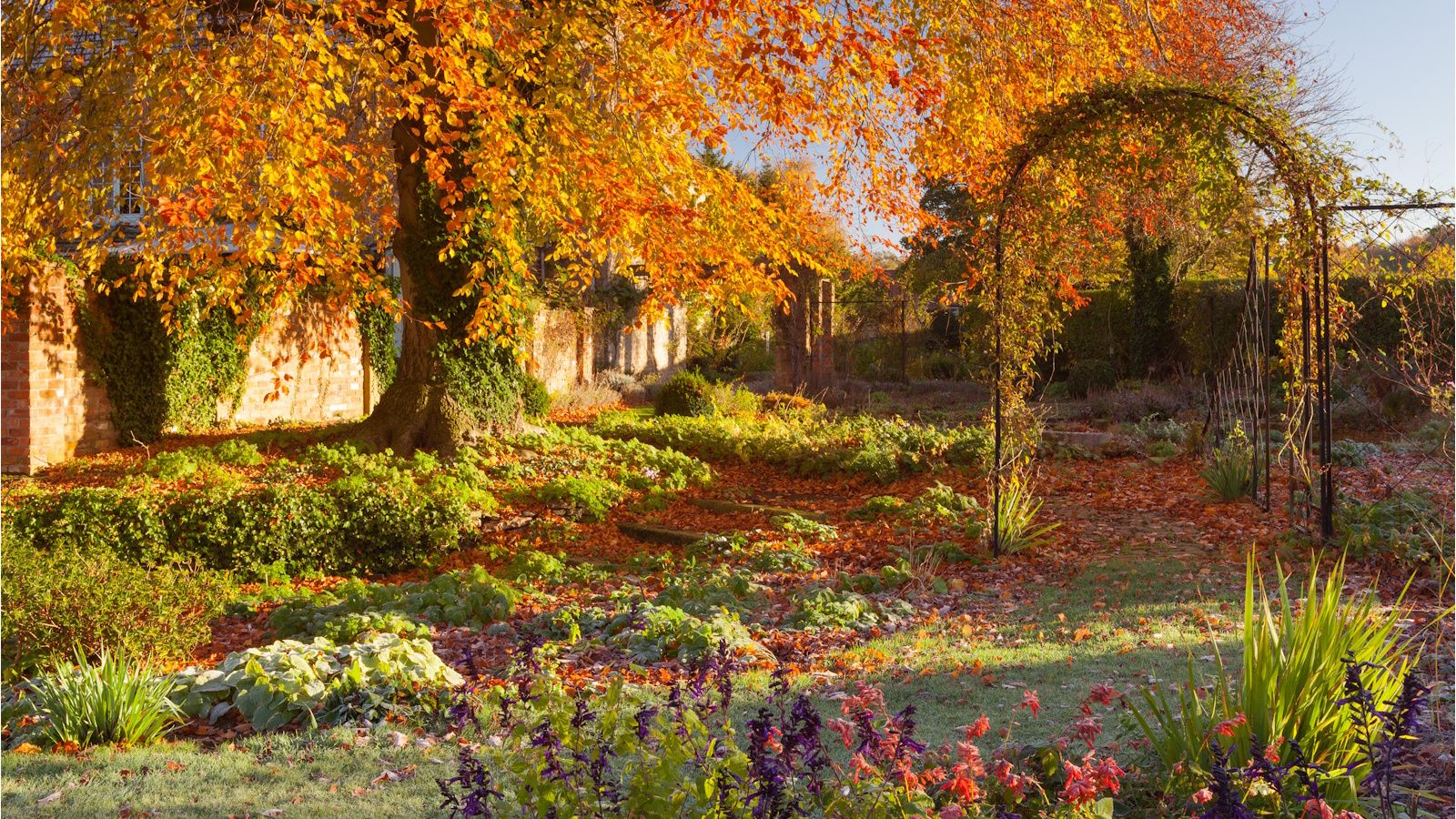 1600x900 The ultimate fall compost boost experts swear by this season. Homes and Gardens
