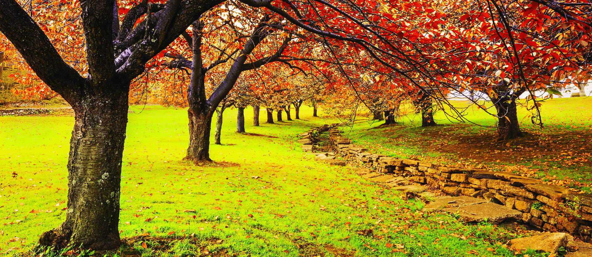 1920x835 Gasper Garden To Do List: Early Fall
