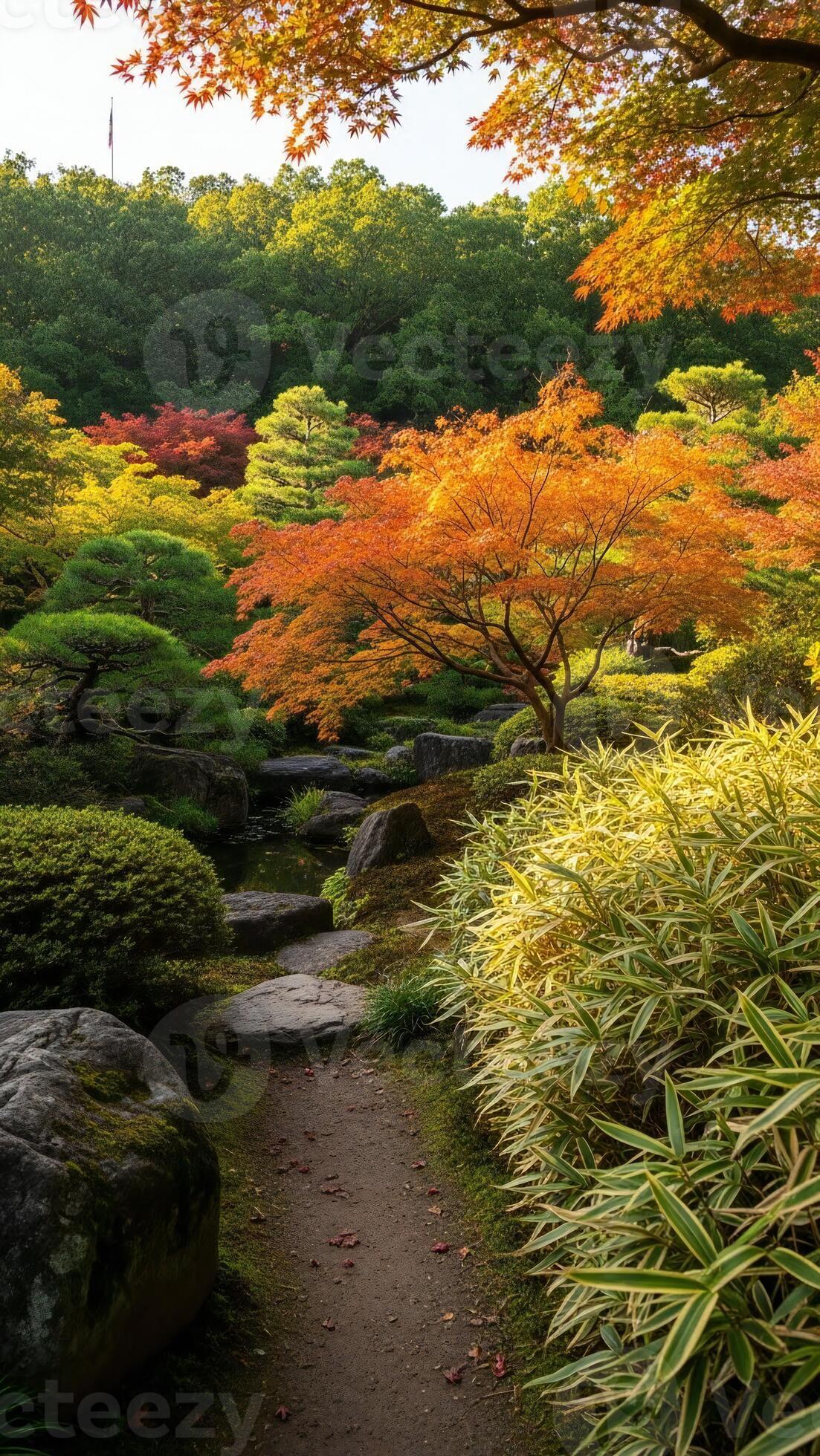 1103x1960 Nature wallpaper, Nature landscape, Autumn Garden Path with Maple Trees and Stream