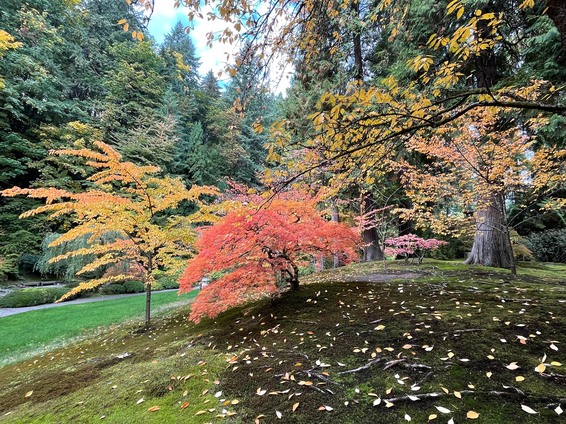 1920x1440 Fall Colors Tracker