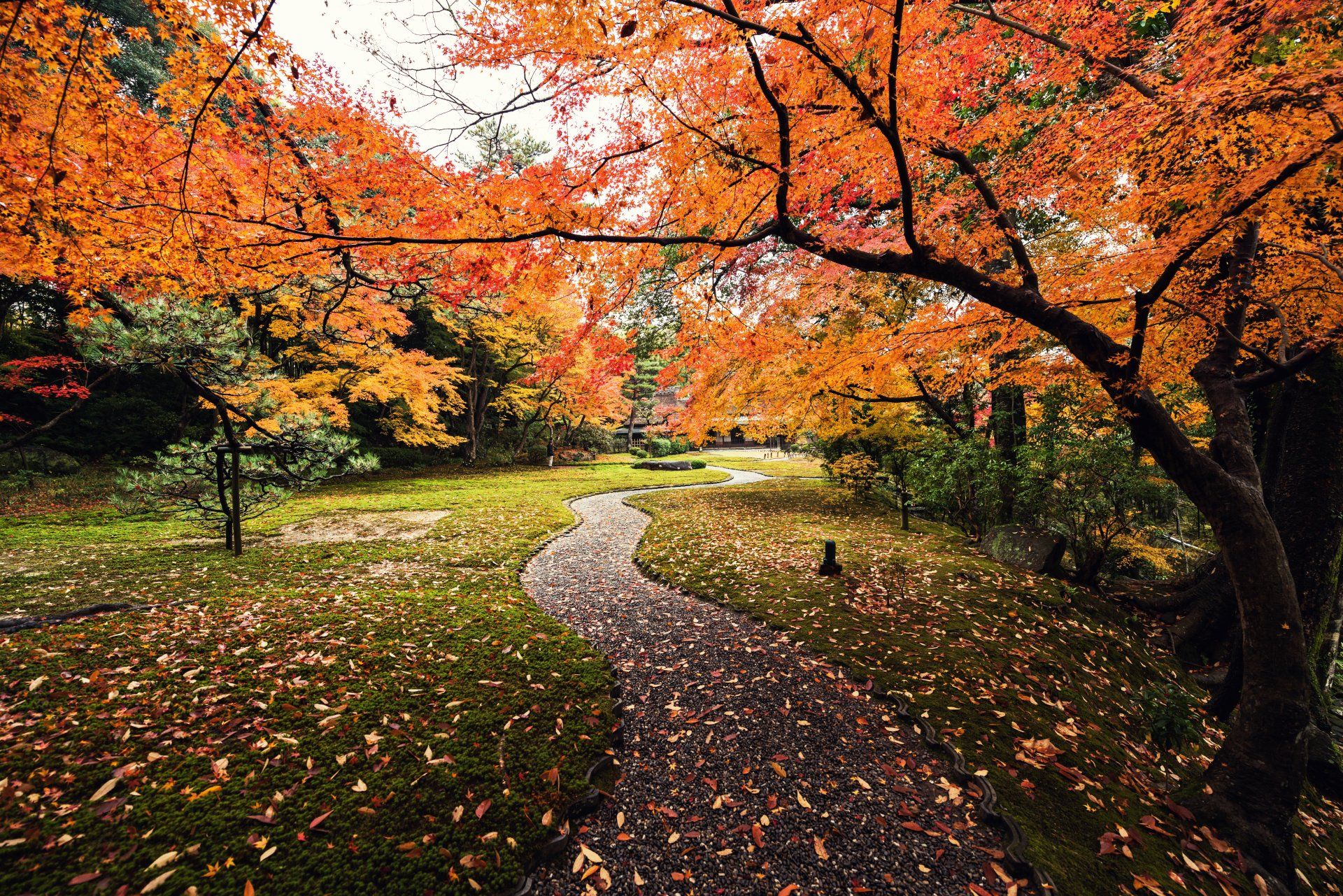 1920x1281 Autumn Pathway in Japan Ultra HD Garden Serenityx4912