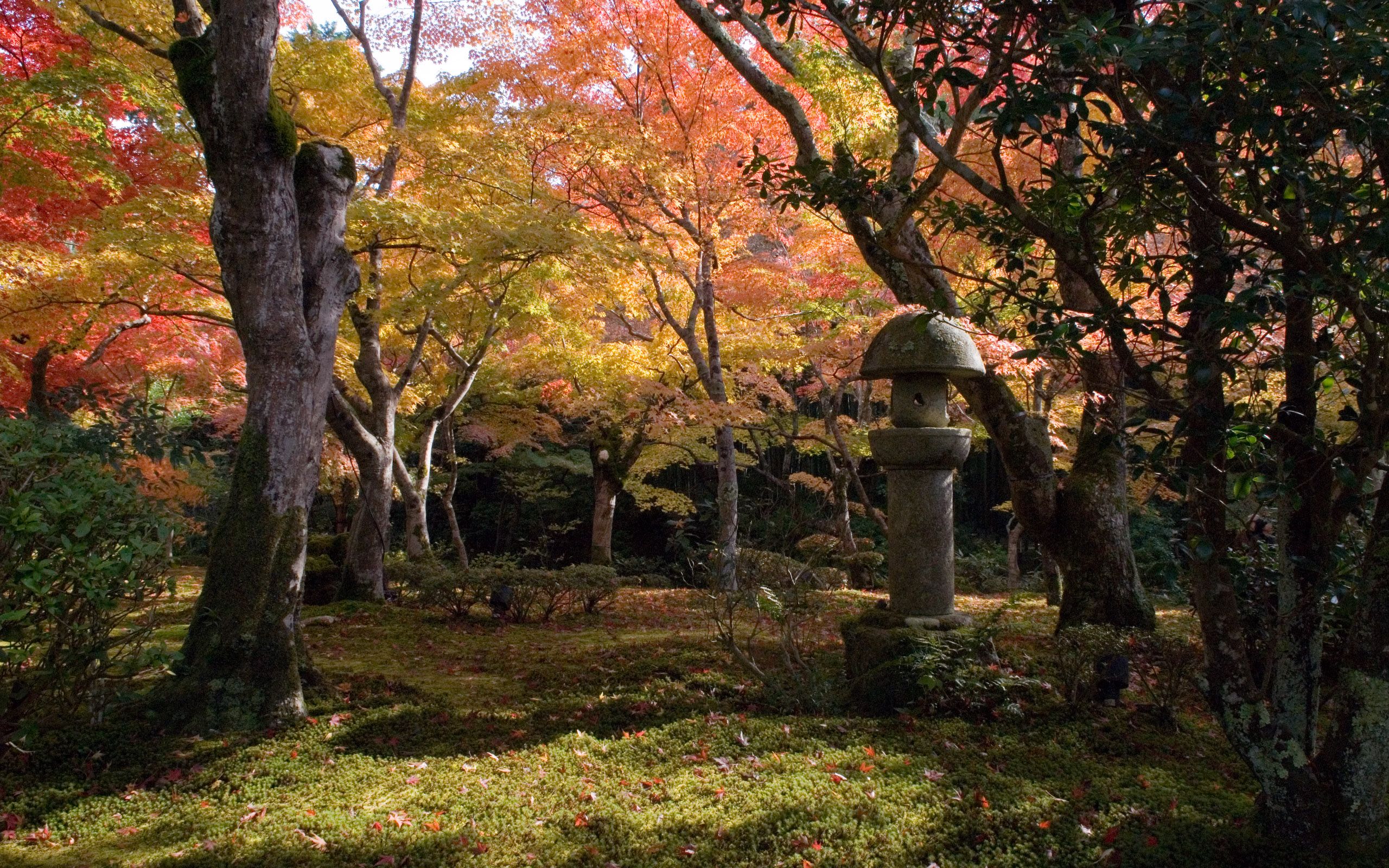 2560x1600 Jeffrey Friedl's Blog Kyoto Fall Foliage Desktops