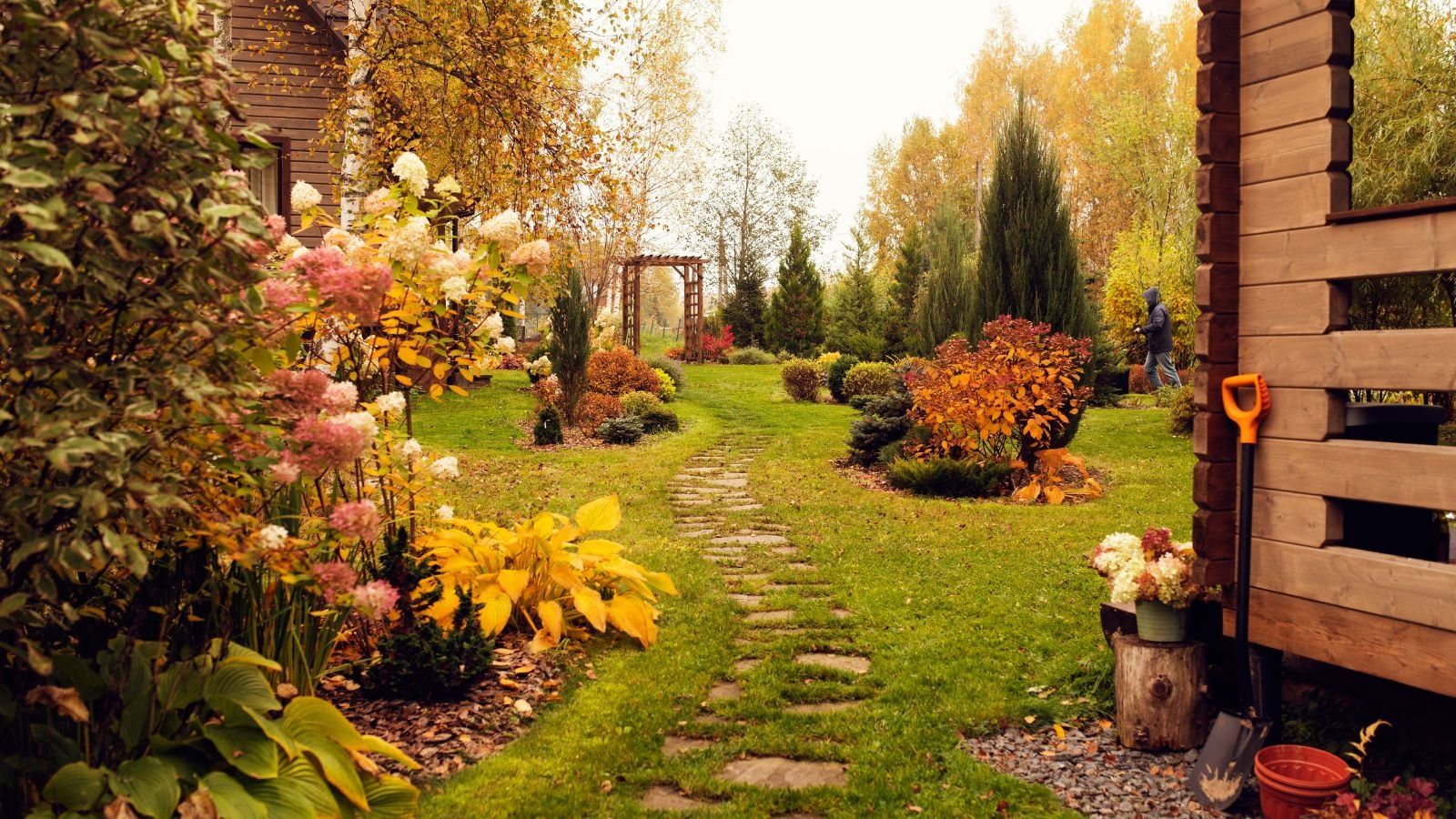 1600x900 The Wildlife Garden in Fall: Maintaining Your Habitat