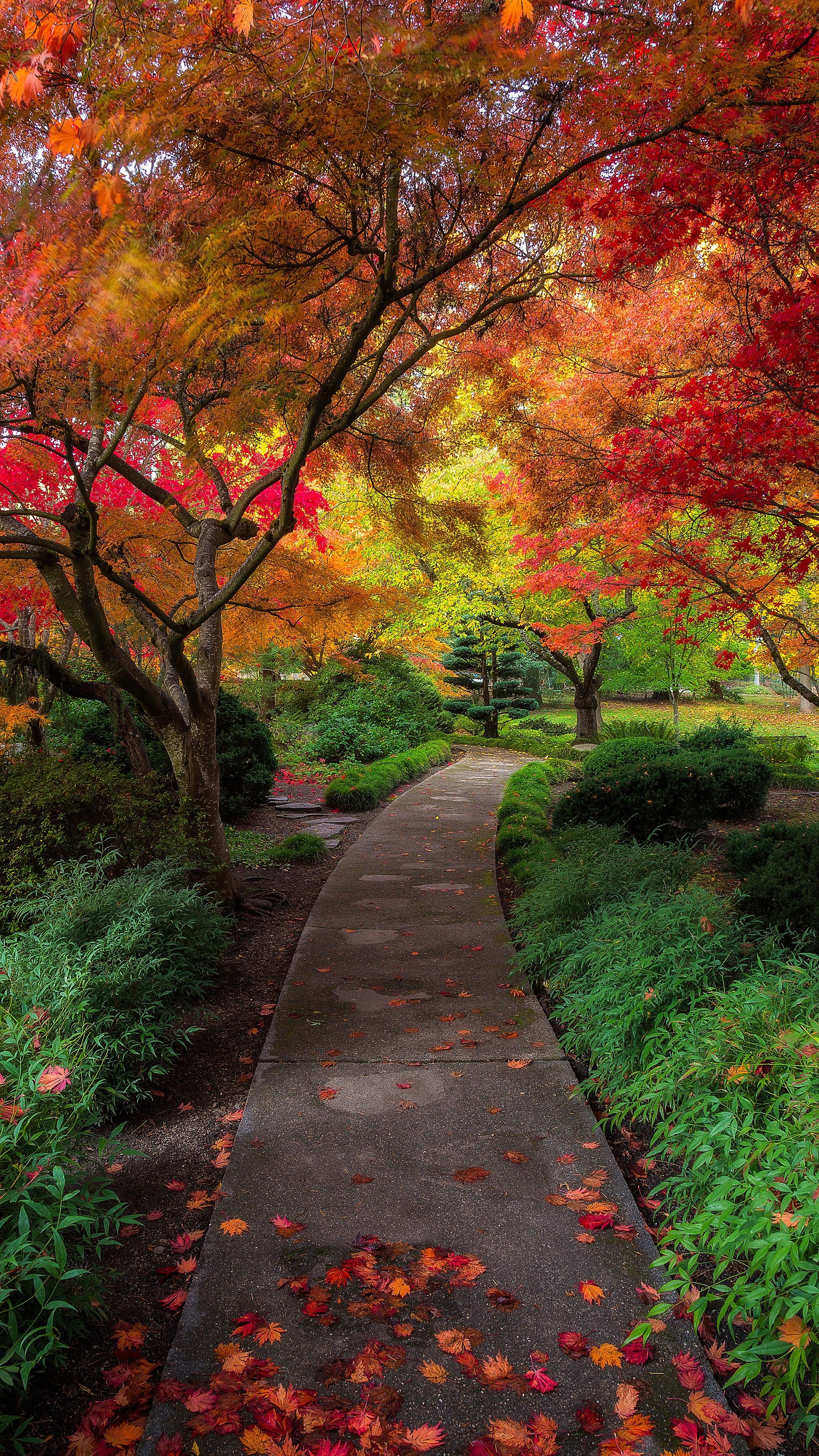 2160x3840 landscape, Fall Wallpaper HD / Desktop and Mobile Background
