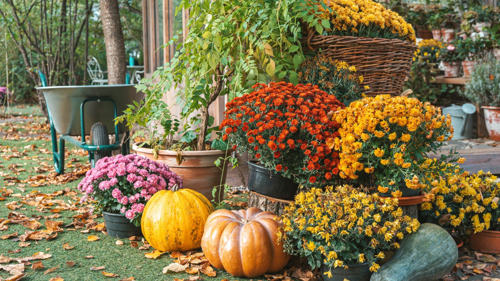 1600x900 Your Fall Garden To Do List By Growing Zone