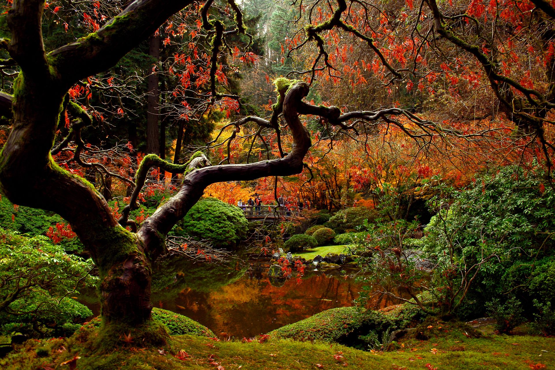 1920x1280 Desktop wallpaper: Fall, Japanese Garden, Photography, Japan, Park 4K free download for PC. 195053