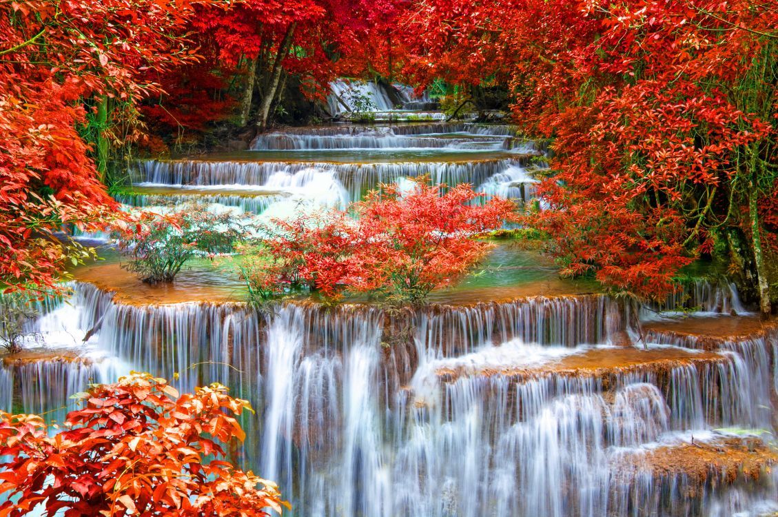 1129x750 Wallpaper Water Falls in The Middle of Trees, Background Free Image