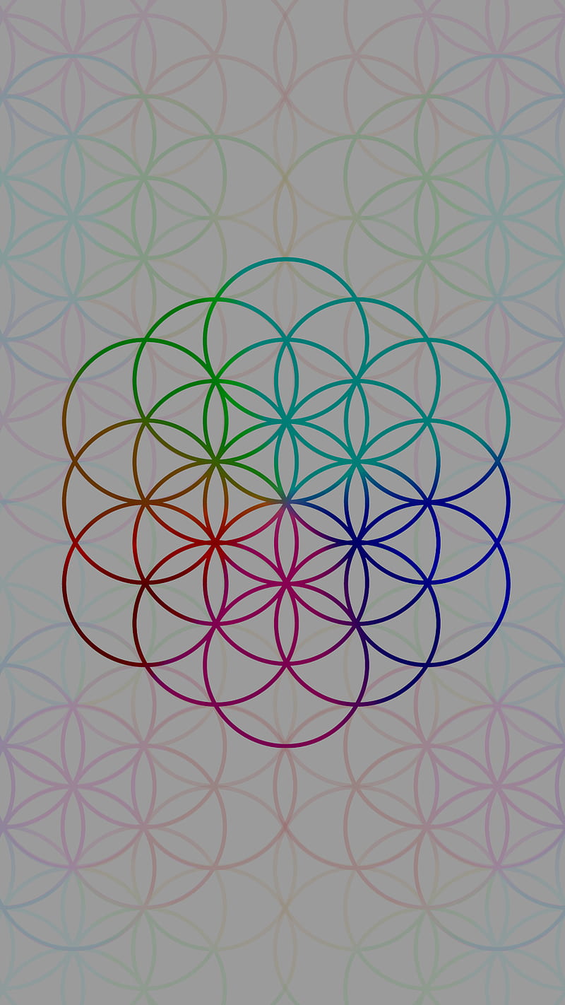 800x1422 Coldplay V ahofd, chris martin, HD phone wallpaper