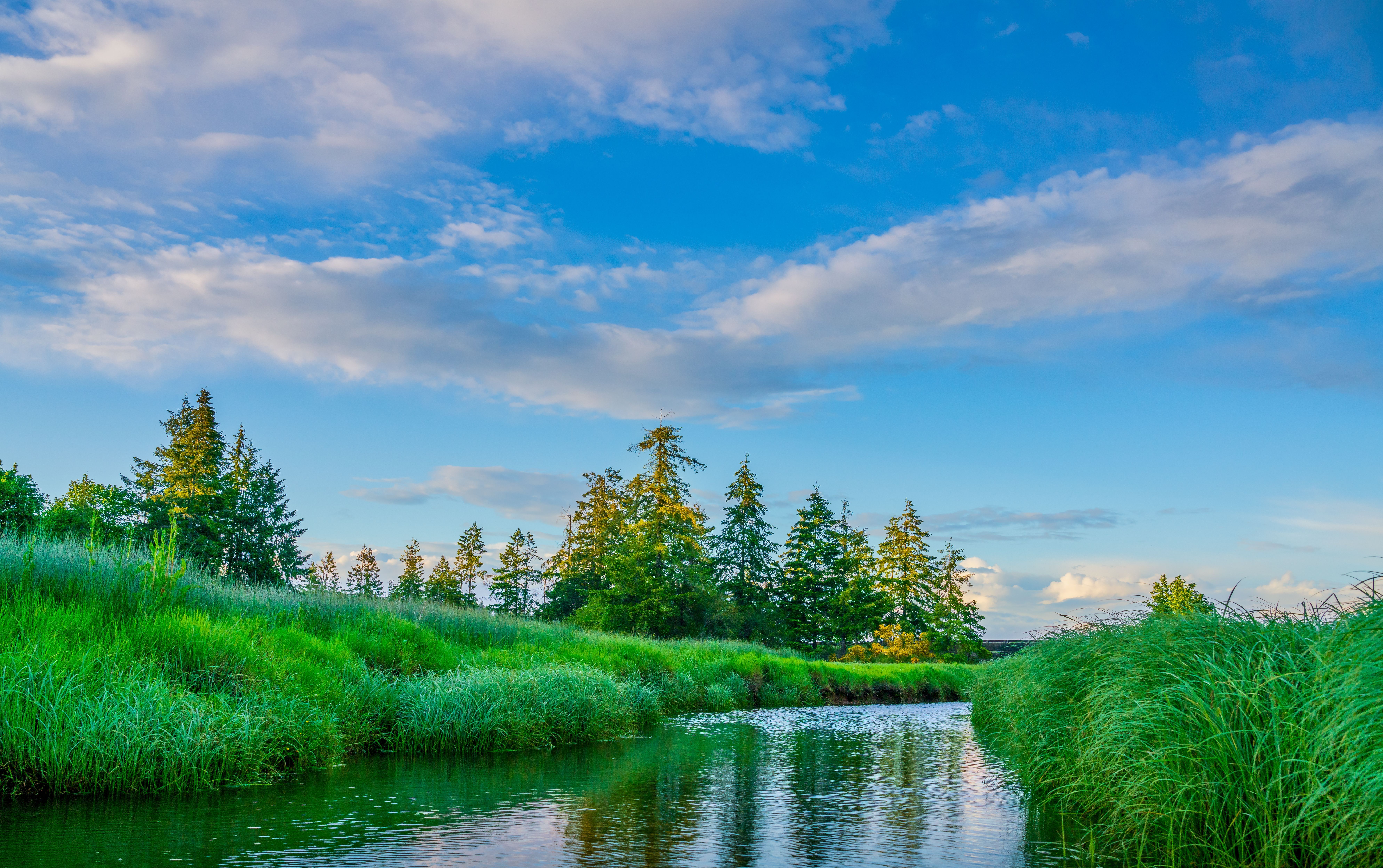 7951x4992 8k Wallpaper Photo, Download The BEST Free 8k Wallpaper & HD Image