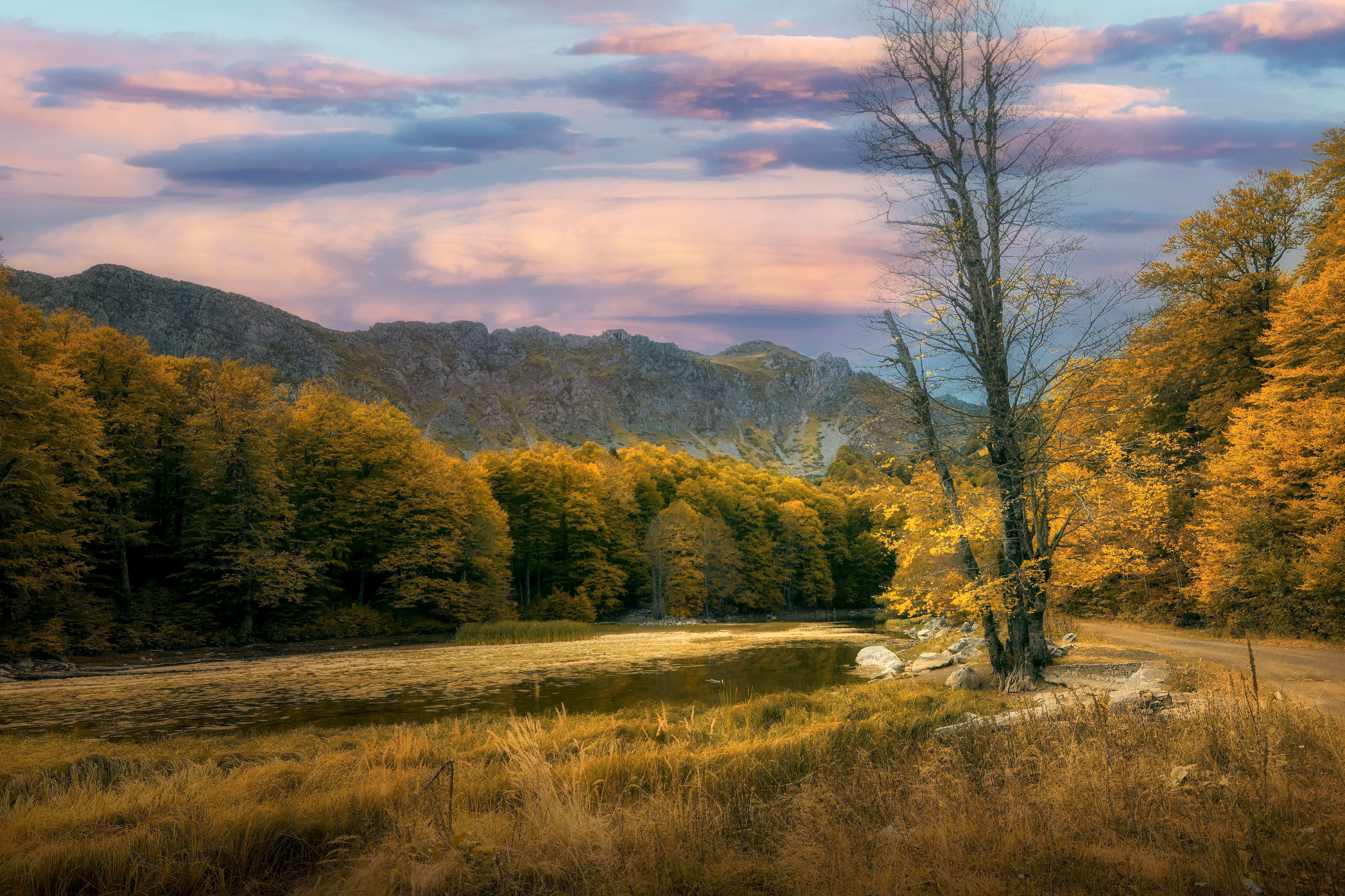 6000x4000 8k Wallpaper Photo, Download The BEST Free 8k Wallpaper & HD Image
