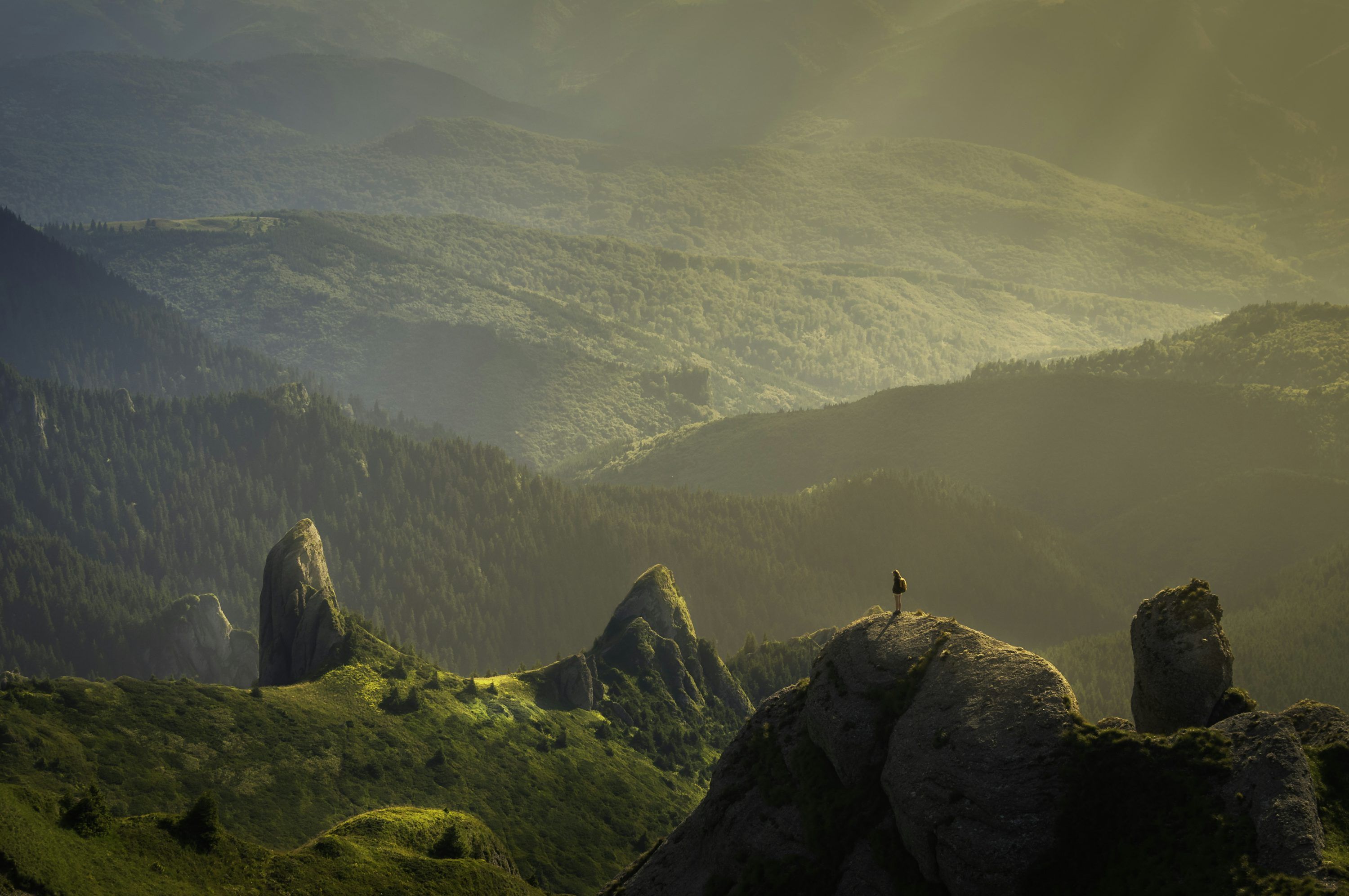 3000x1993 8k Wallpaper: Free HD Download [4K]