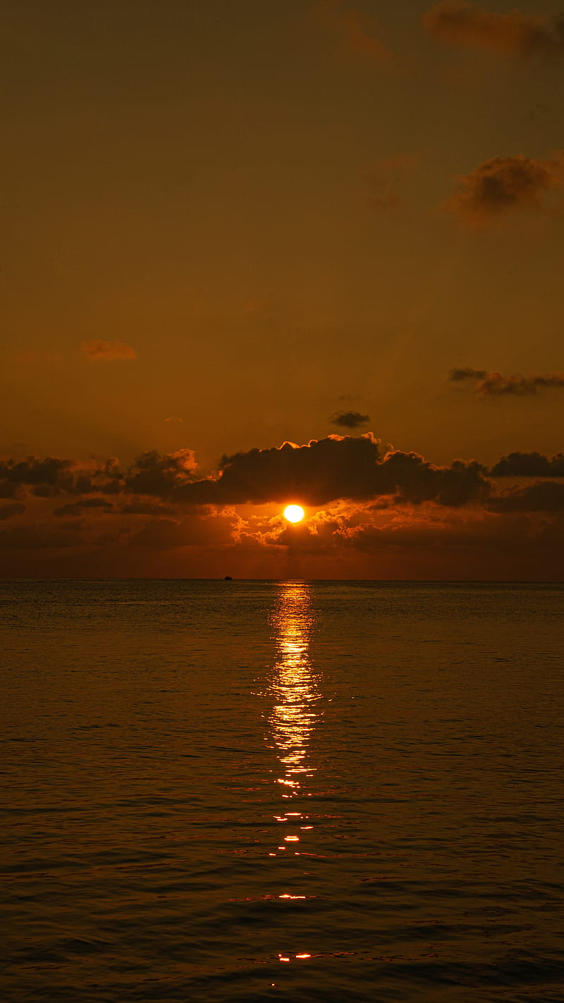 800x1423 HD nature 8k ultra wallpaper