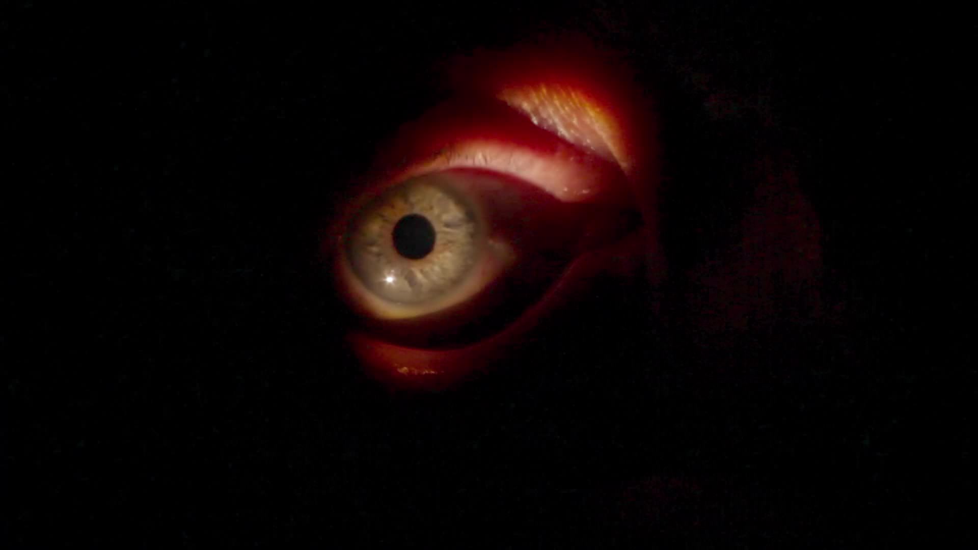 1920x1080 Mad God (2021) Screencaps Movie Stills Gallery