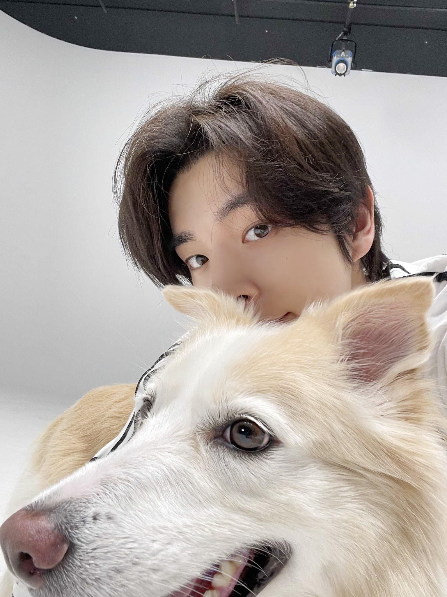 1536x2048 What is your favourite Jake Selca?