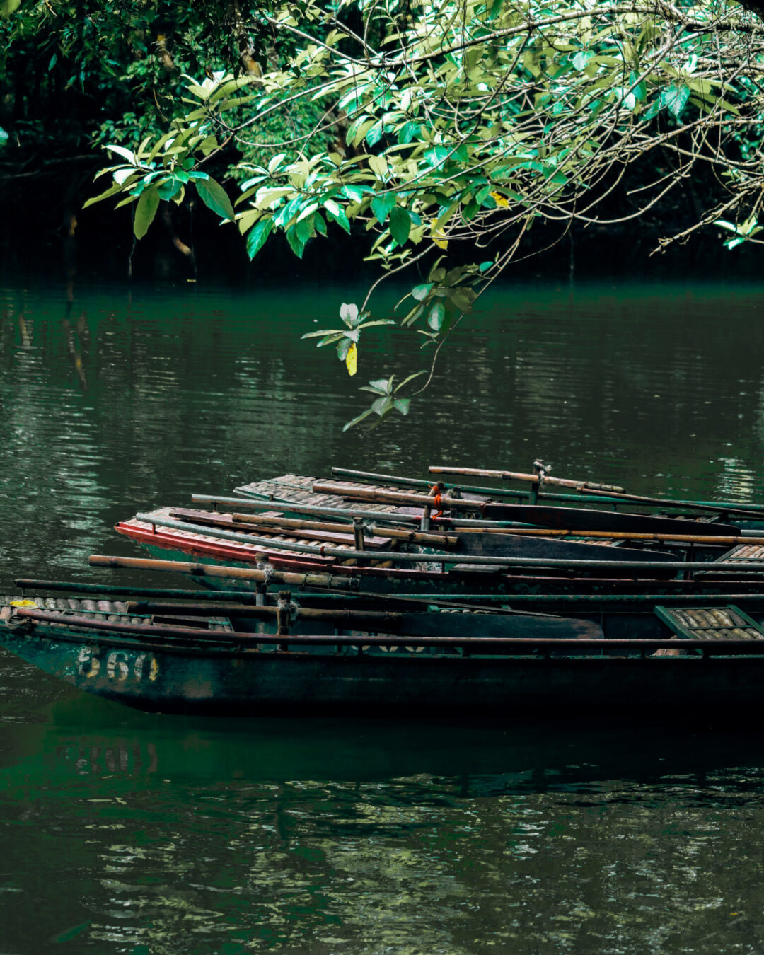 1080x1350 Everything You Need To Know About Visiting Trang An Landscape Complex