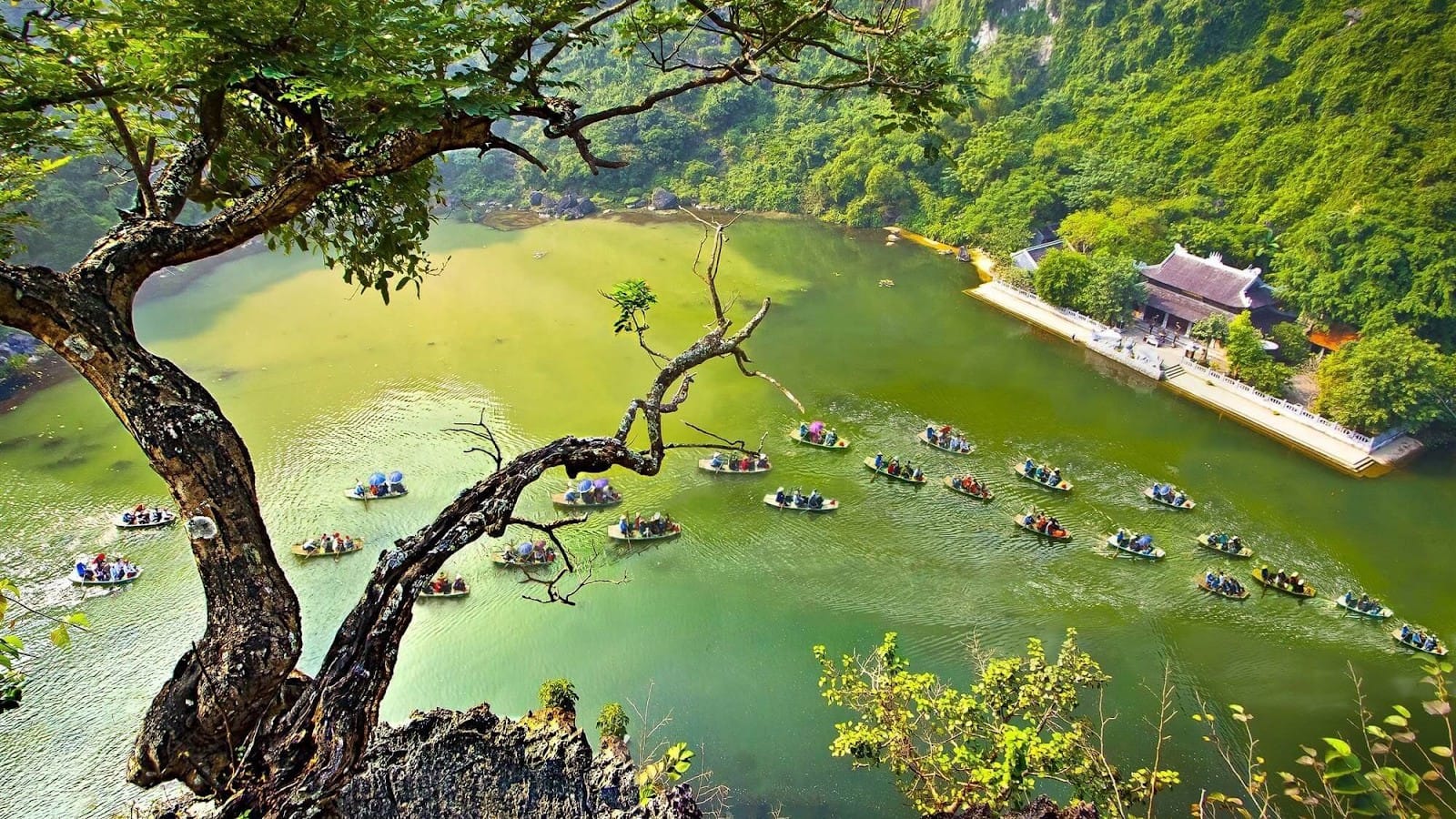 1600x900 Trang An vs Tam Coc: Differences, Boat Routes & Travel Tips Explained