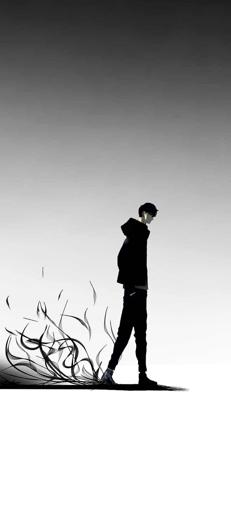 800x1778 Solo leveling, anime, HD phone wallpaper