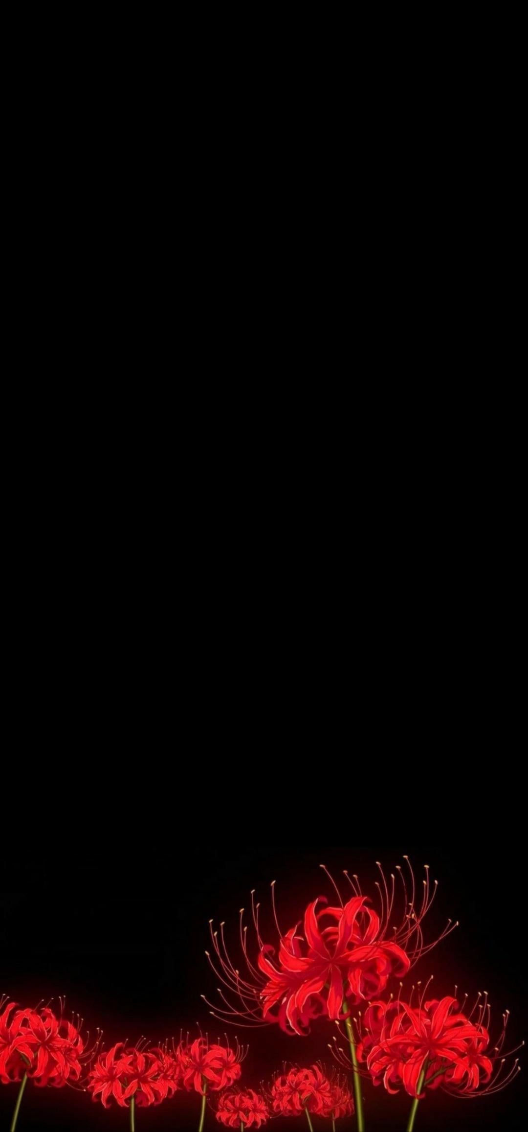 1080x2313 Tokyo Ghoul wallpaper