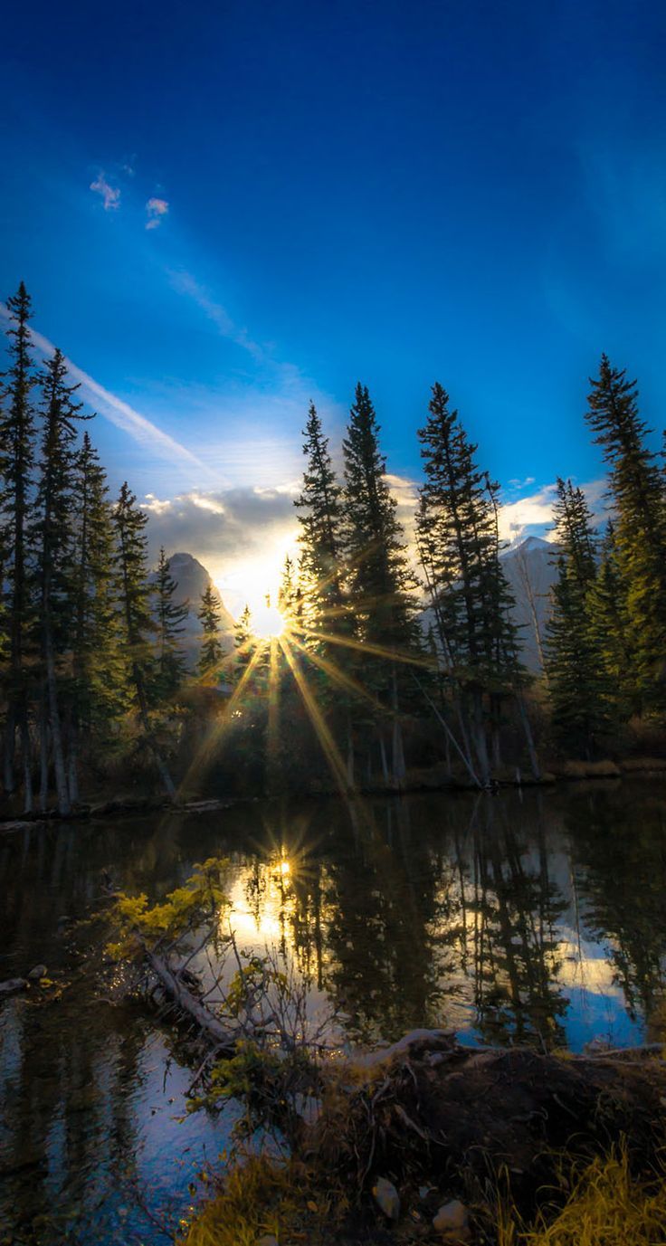 736x1377 Canmore Alberta Canada IPhone Wallpaper