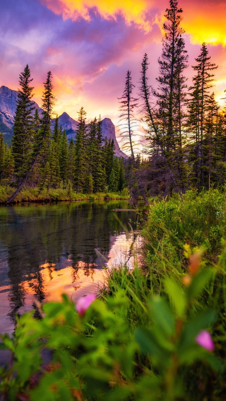 736x1307 Things to do in Canmore, Alberta