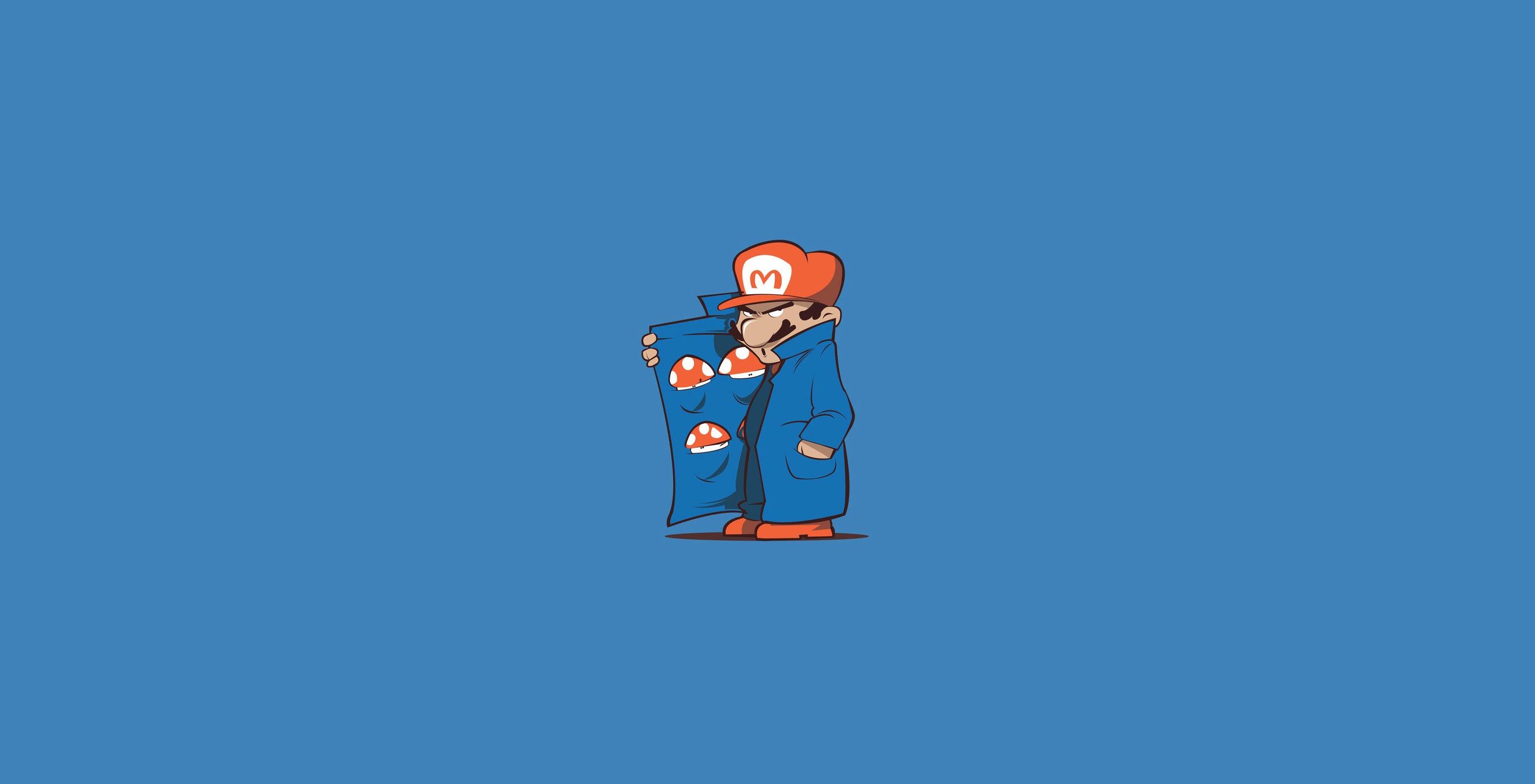 2700x1380 Free mushrooms 2K wallpaper for desktop and phone