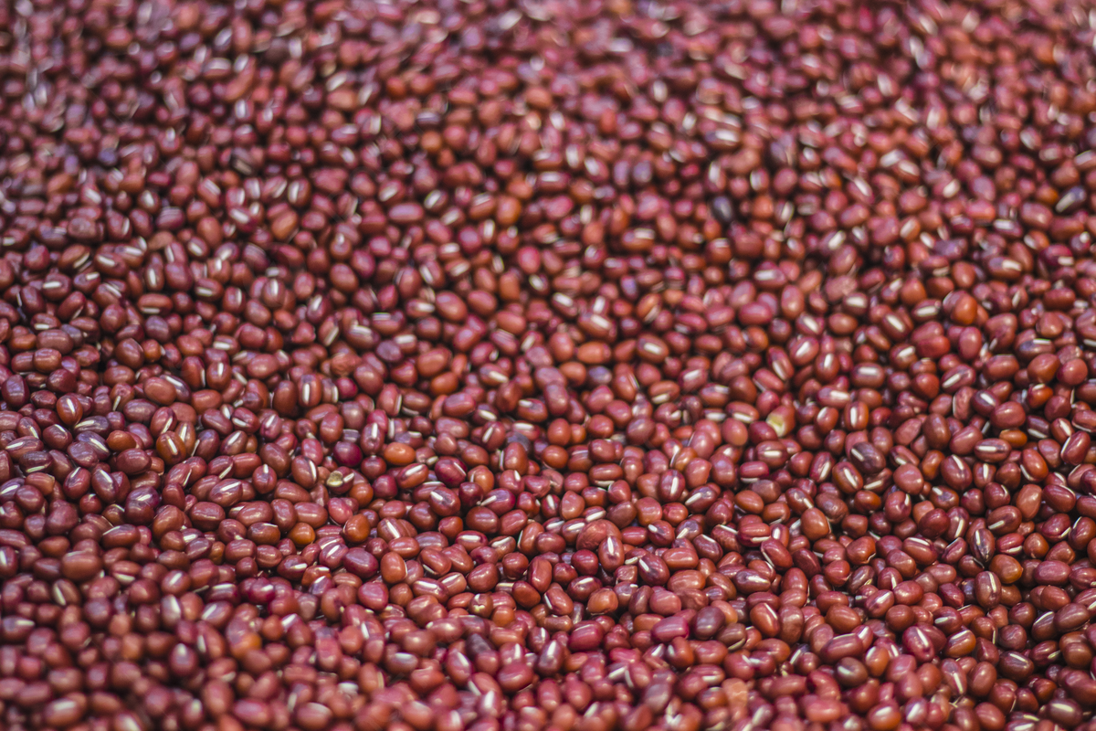 1200x800 Selected Soybeans And Red Beans From Cereals, Whole Grains, Soybean, Red Beans Background Image And Wallpaper for Free Download