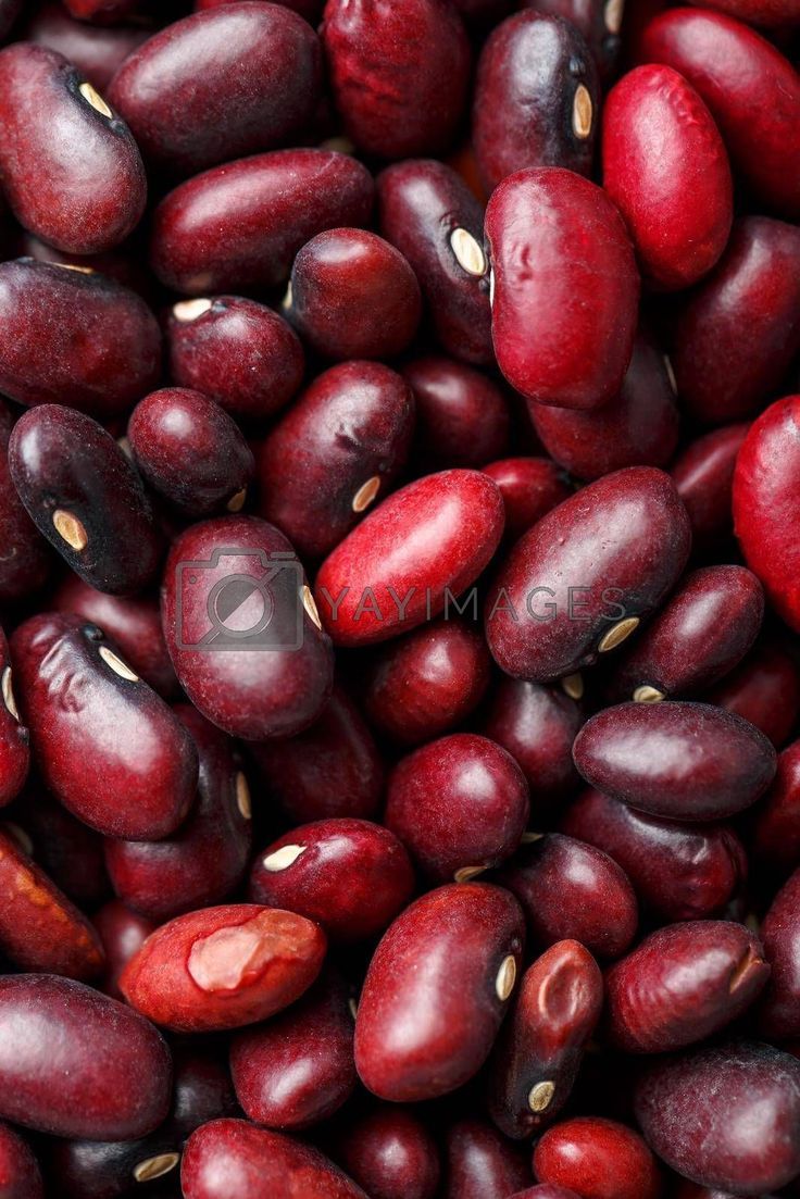 736x1103 Closeup of a grain of red bean seeds. The texture of the legumes. Close up red beans background, seeds of red beans by AlexGrec Vectors & Illustrations with Unlimited Downloads