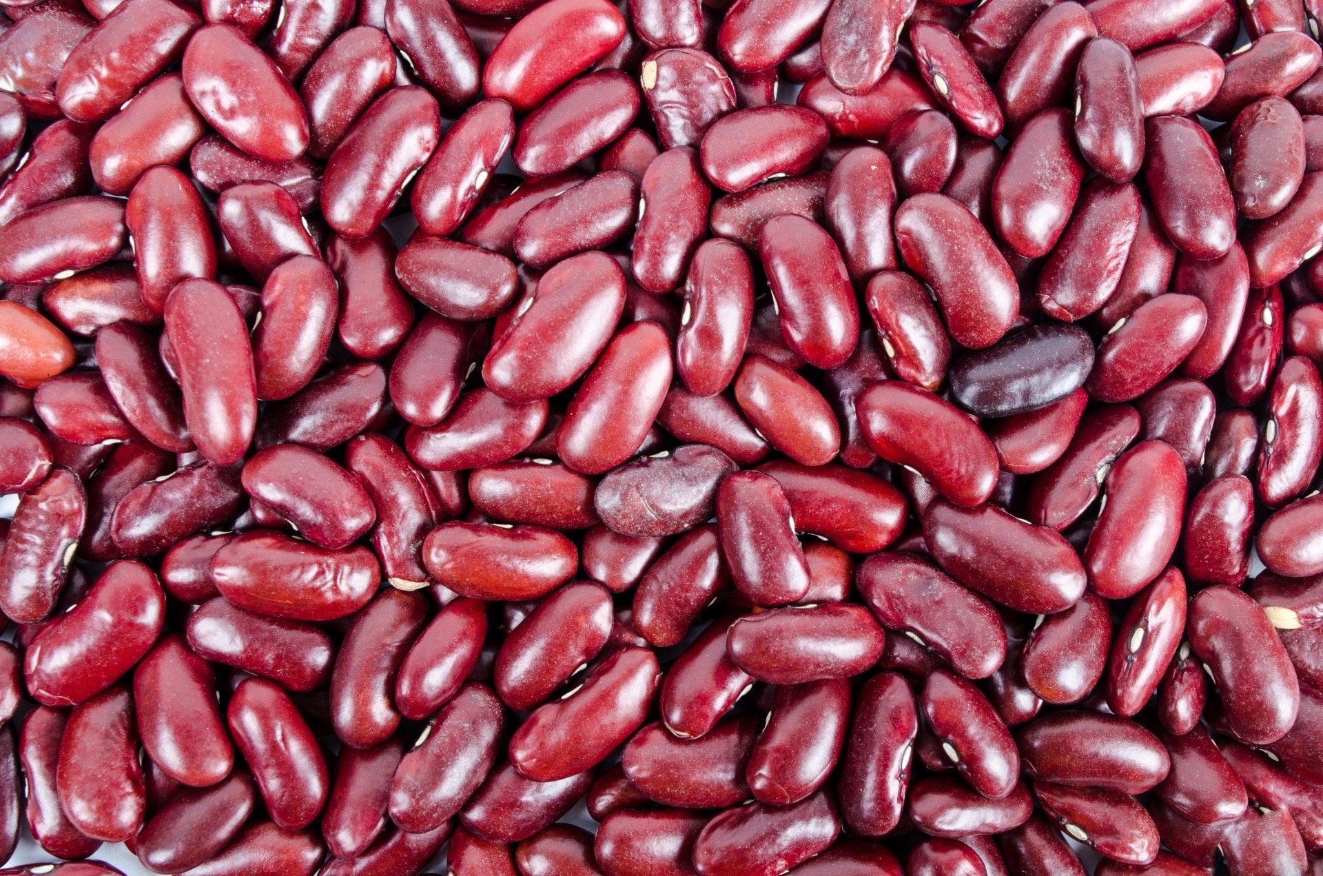 1920x1271 green and red beans seed free image