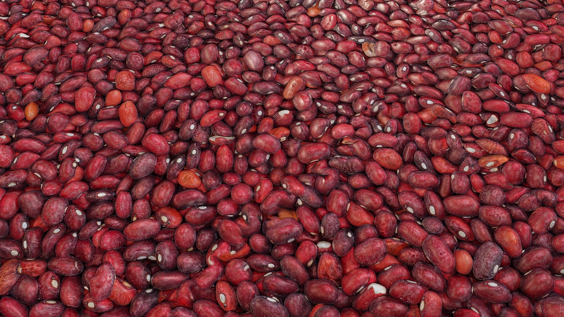1920x1080 Kidney beans free seamless texture and Substance PBR material in high resolution
