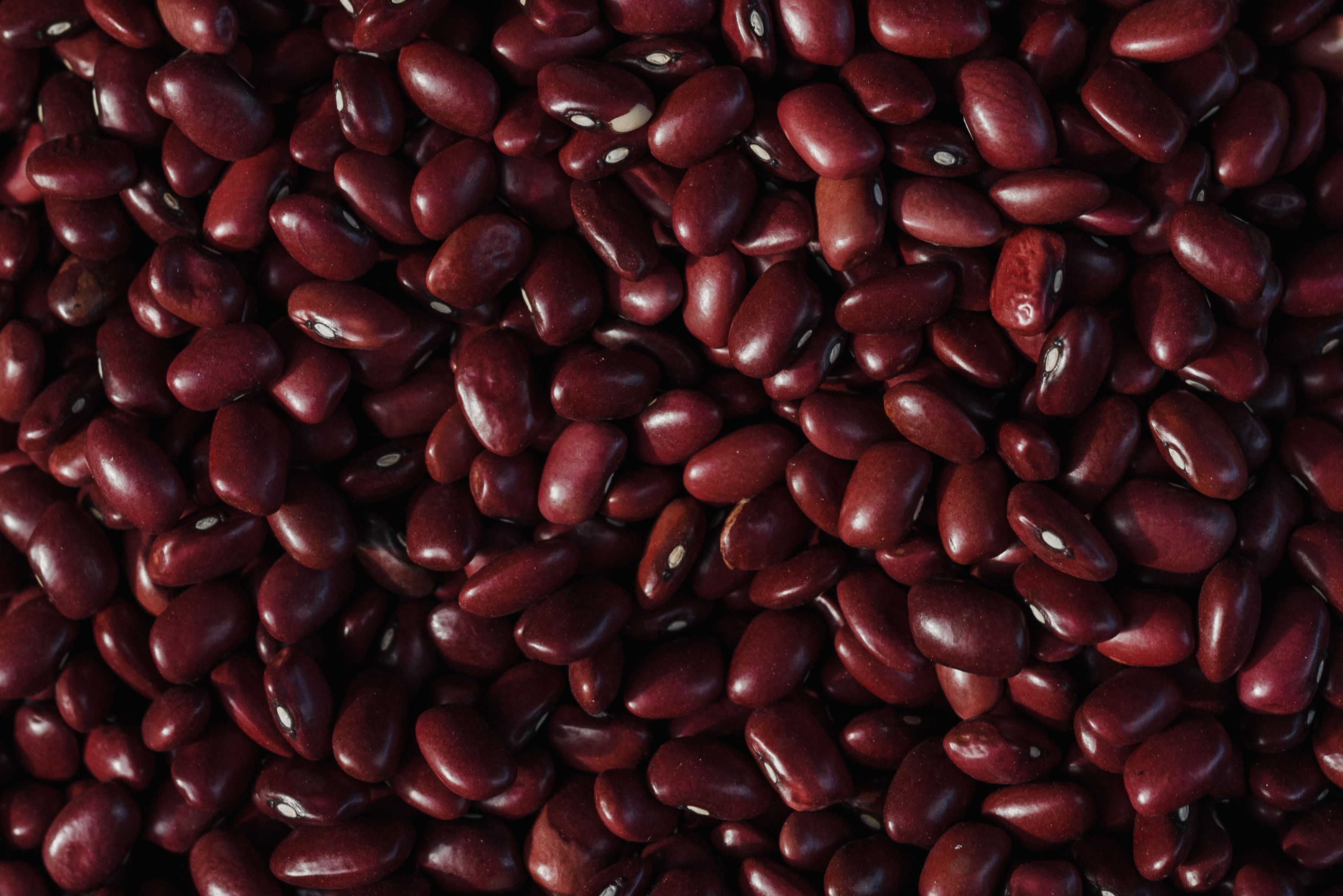 3500x2336 Red Kidney Beans Photo, Download The BEST Free Red Kidney Beans & HD Image