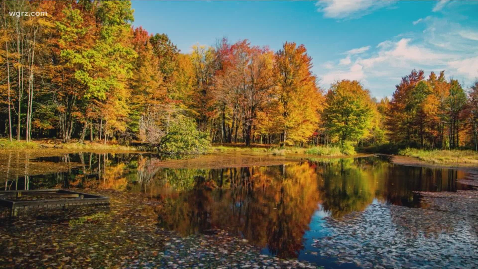 1920x1080 Most Buffalo: 'when will we see the colors of fall?'