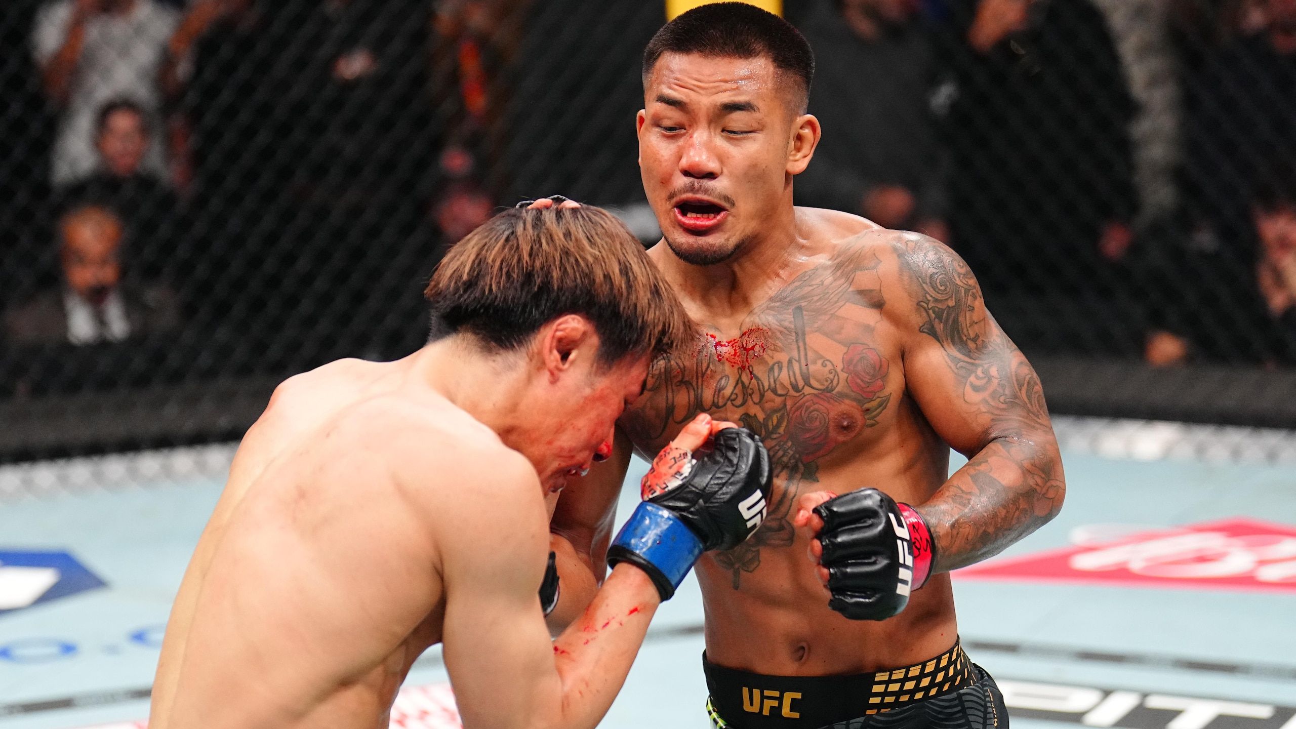 2560x1440 Joshua Van Beats Tatsuro Taira By TKO at UFC 328 to Retain Flyweight Title