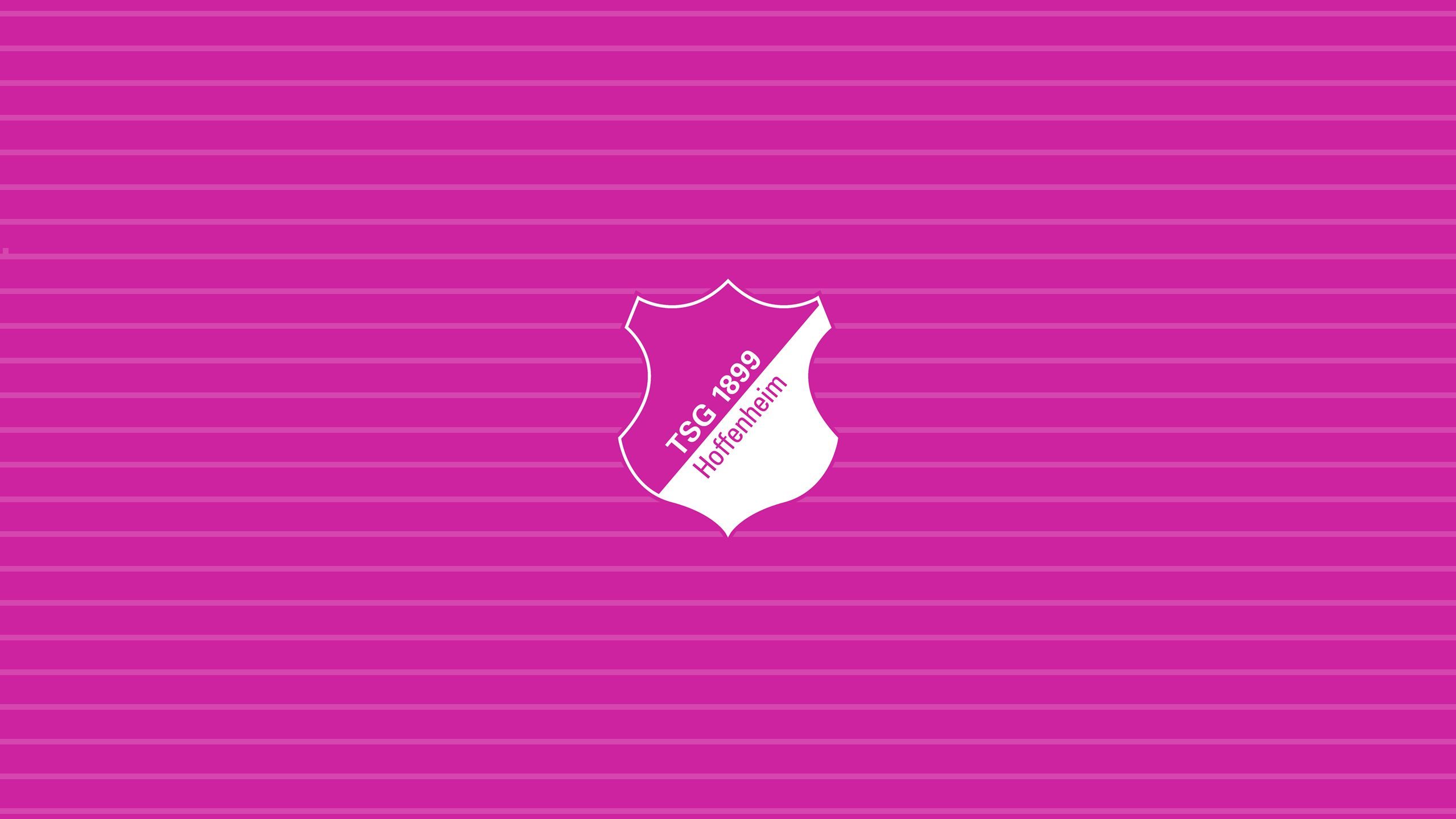 2560x1440 Phone wallpaper: Sports, Tsg 1899 Hoffenheim, Emblem, Logo, Soccer 502645