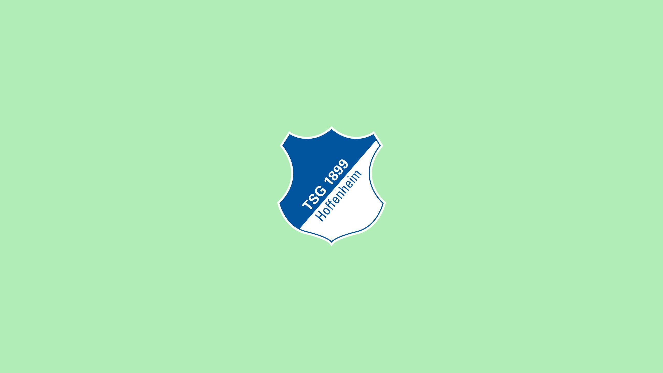 2560x1440 Free Tsg 1899 Hoffenheim 4K Wallpaper & Desktop HD Background for PC