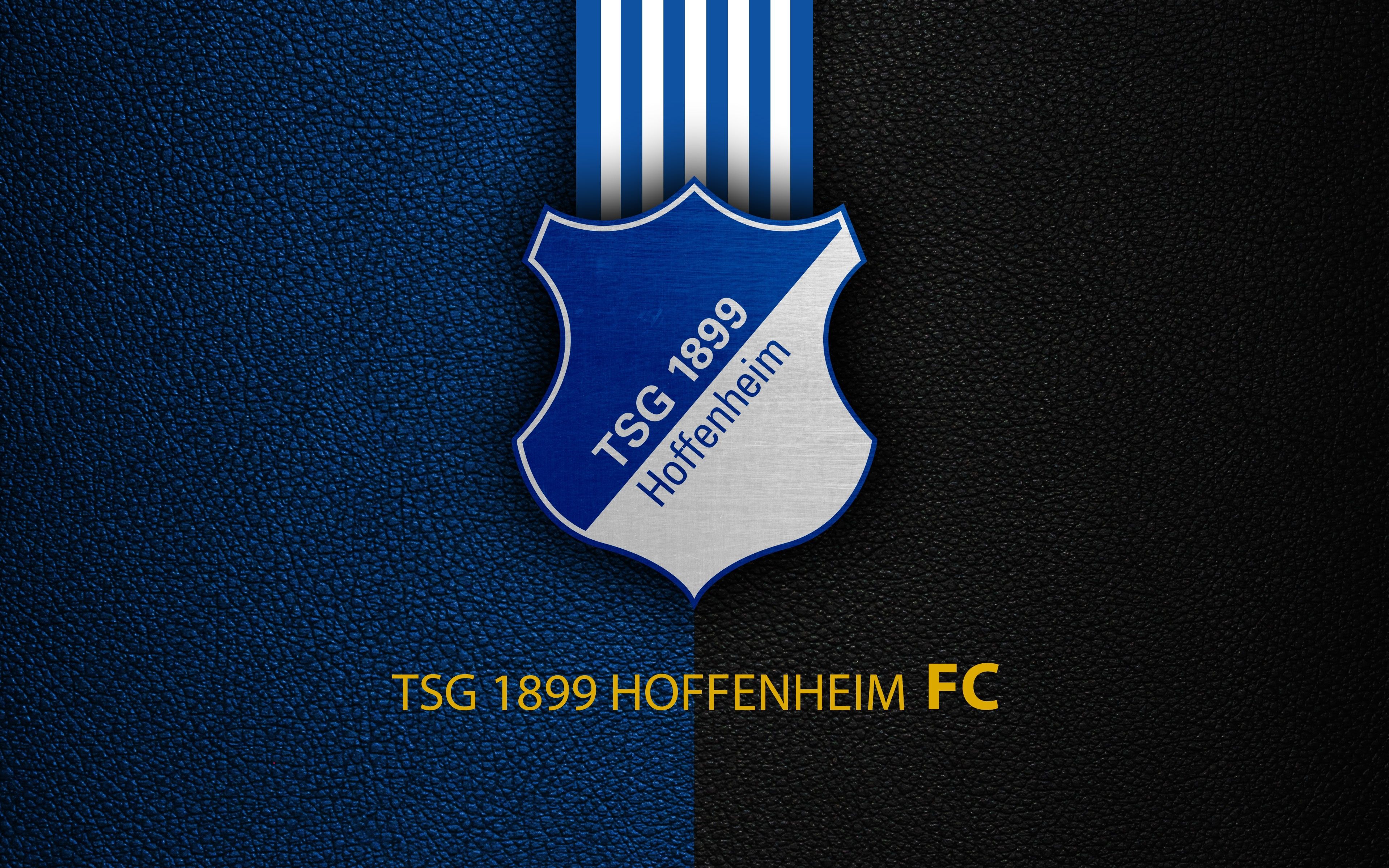 3840x2400 Wallpaper bundesliga, Sport, TSG 1899 Hoffenheim, football, wallpaper, logo for mobile and desktop, section спорт, resolution 3840x2400