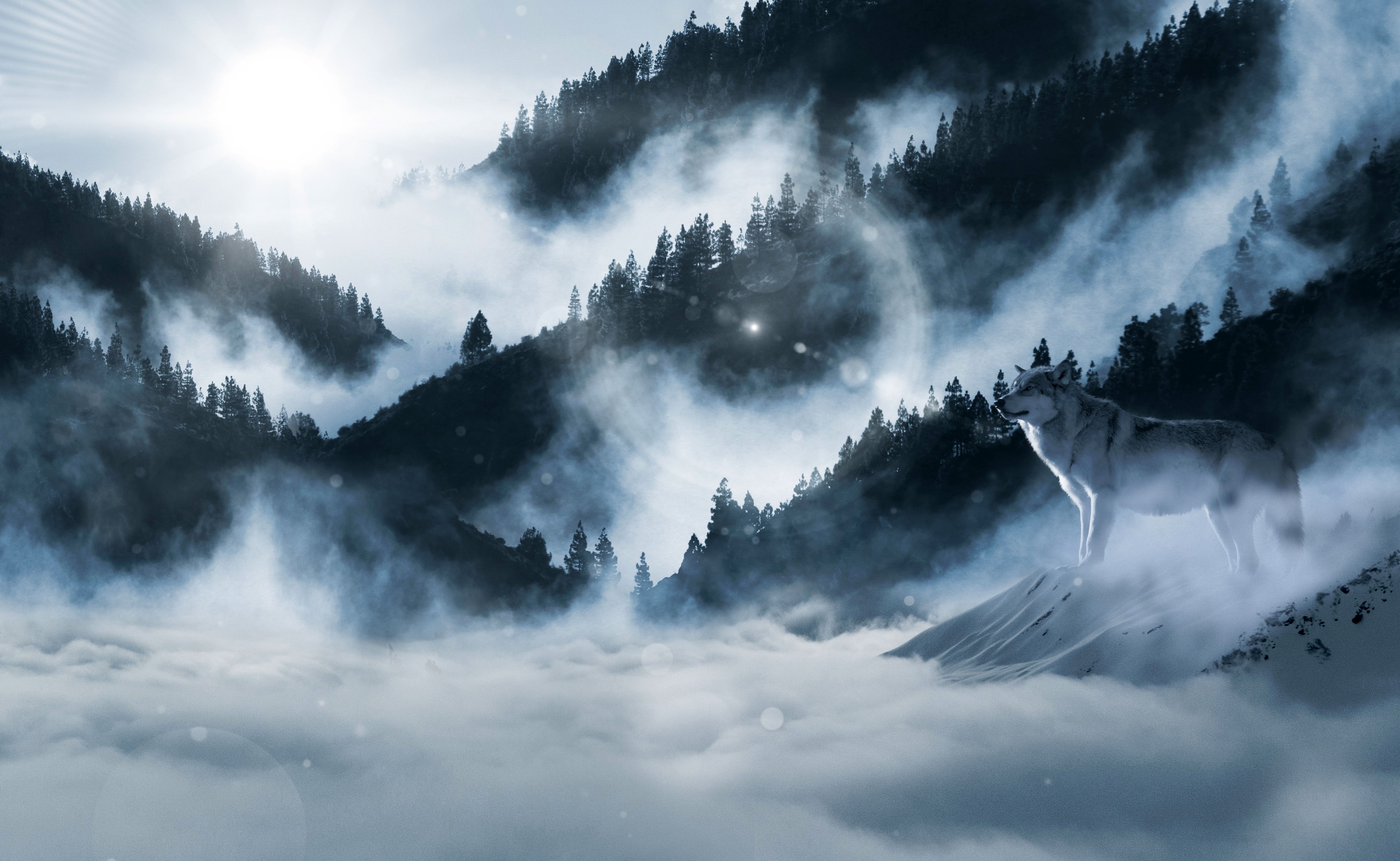 5120x3150 Arctic wolf Wallpaper 4K, Winter, White wolf, Sunny day