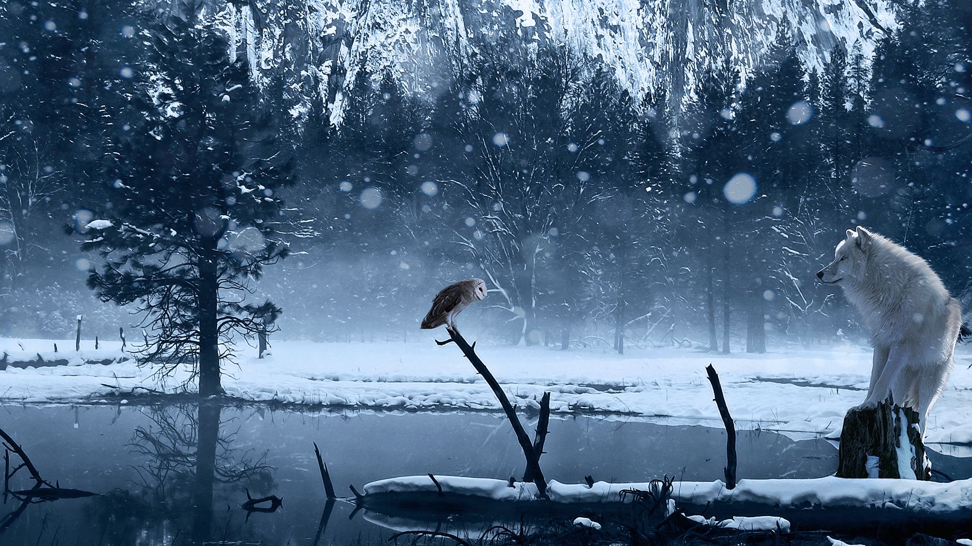 1920x1080 Free winter, snow Full HD wallpaper for desktop and phone