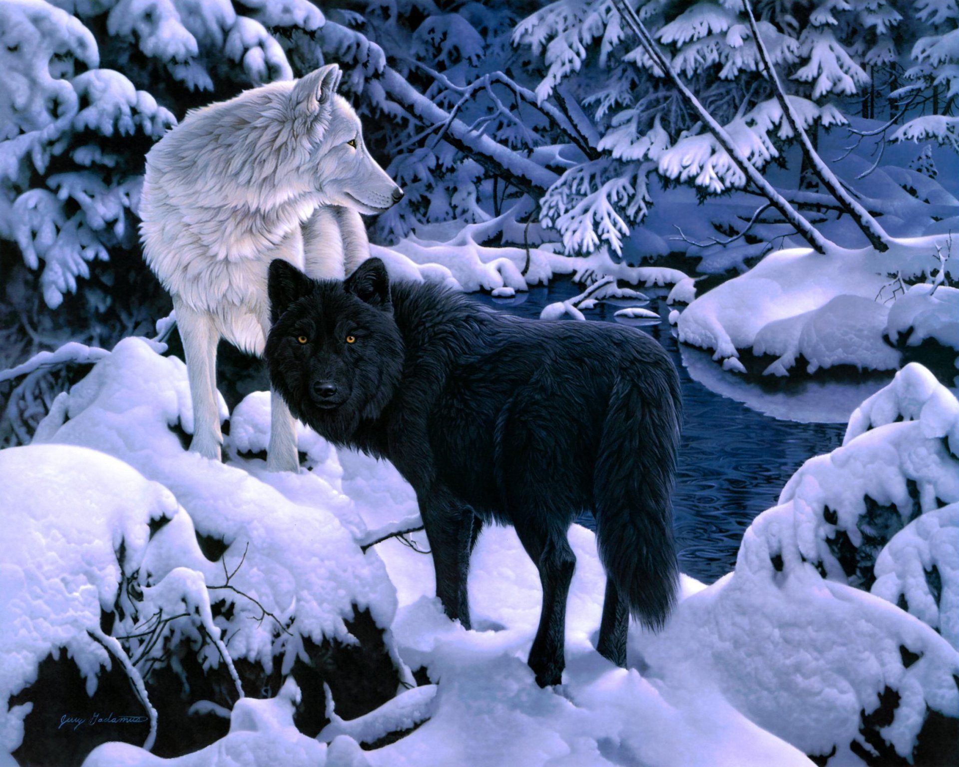 1920x1537 Snow Wolves Winter HD Wallpaper