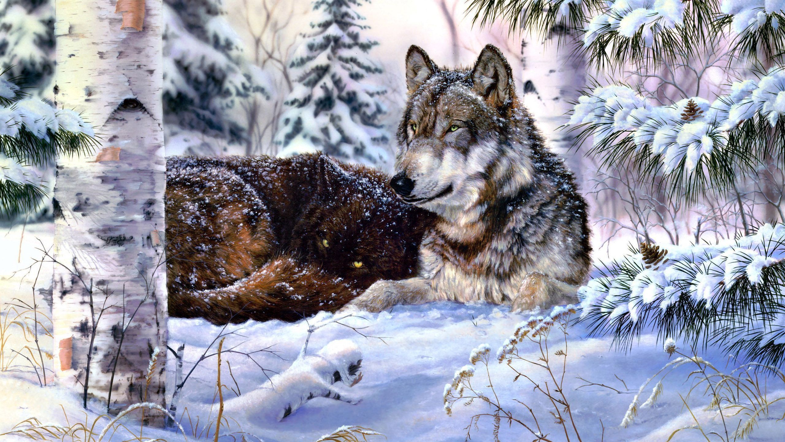 2560x1440 Wolf in snow wallpaper Art wallpaper