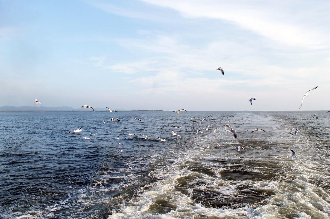 1280x853 Sea Bay Of Bengal Travel