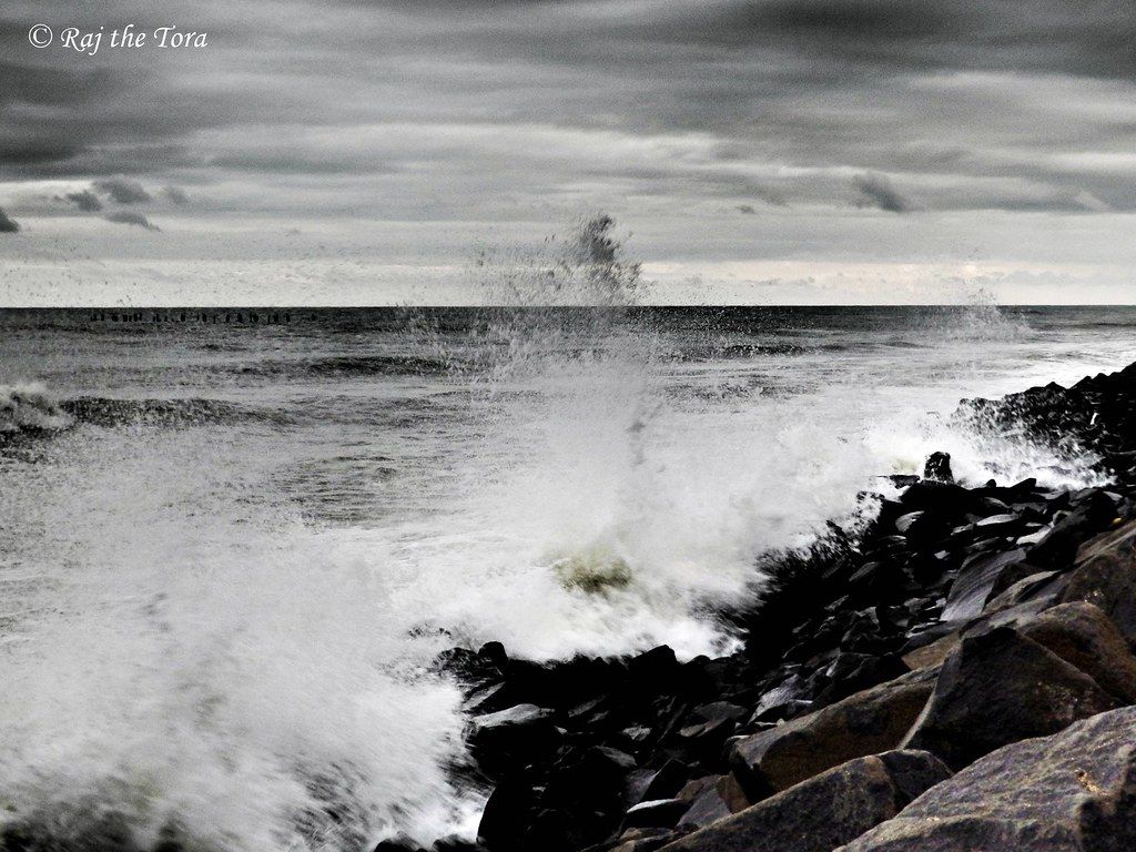 1024x768 Bengal Breaching Beach: Fly into Sky. Was in Pondy beach wi