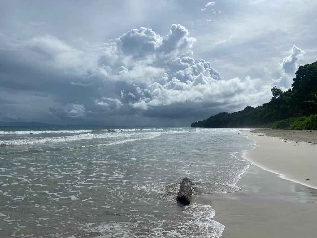 1024x768 The Emerald Jewels of the Bay of Bengal: Exploring the Enchanting Andaman and Nicobar Islands