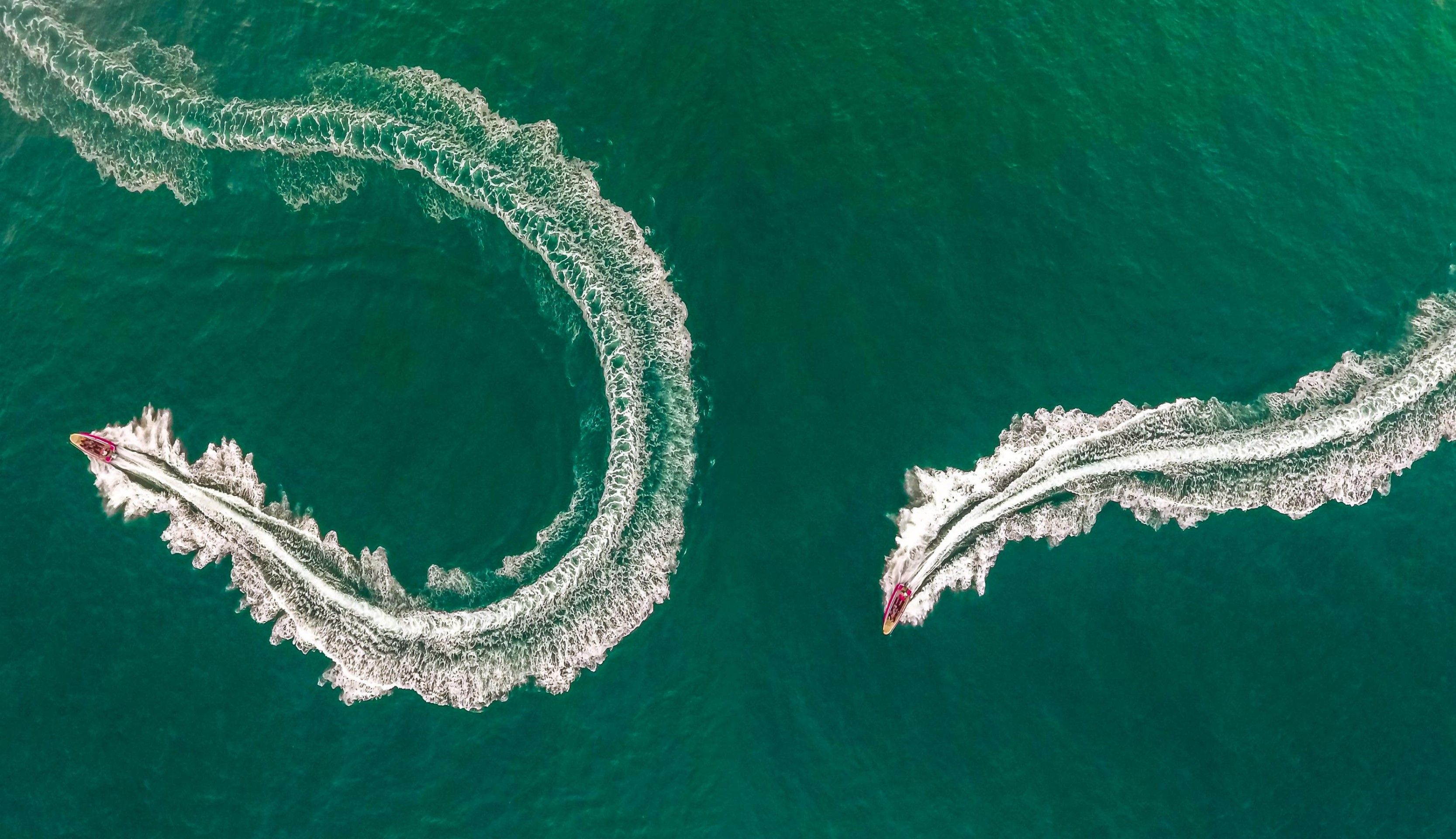 3334x1920 Photo wallpaper Sea snake from Scandiwall
