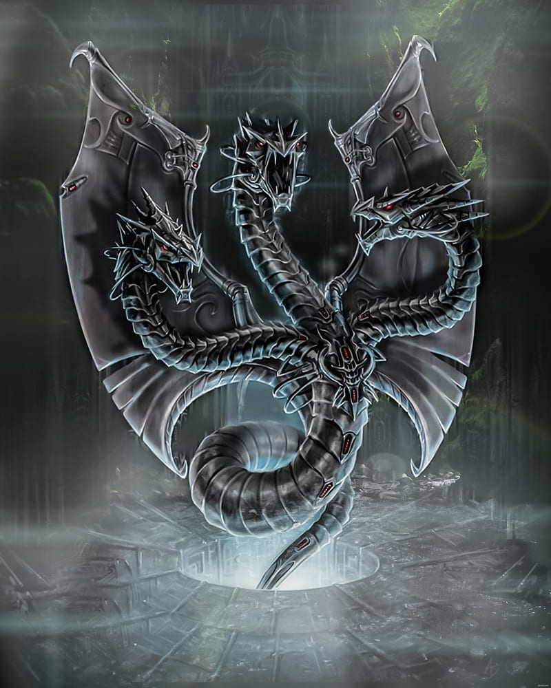 800x1000 HD sea snakes wallpaper