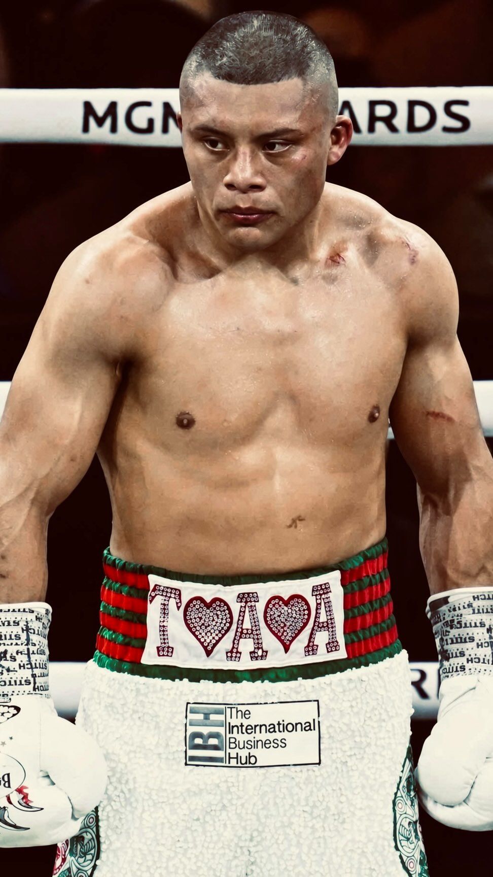 972x1728 Pitbull Cruz in the ring