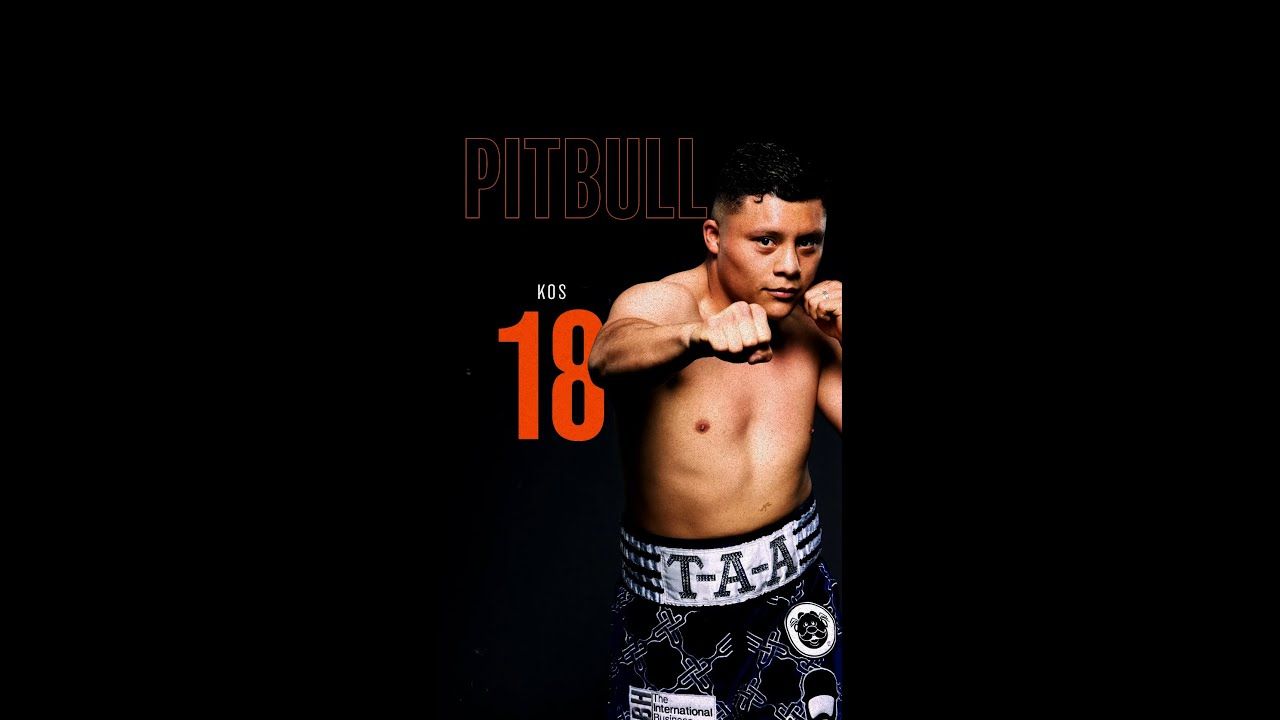 1280x720 Isaac Pitbull Cruz. By the Numbers