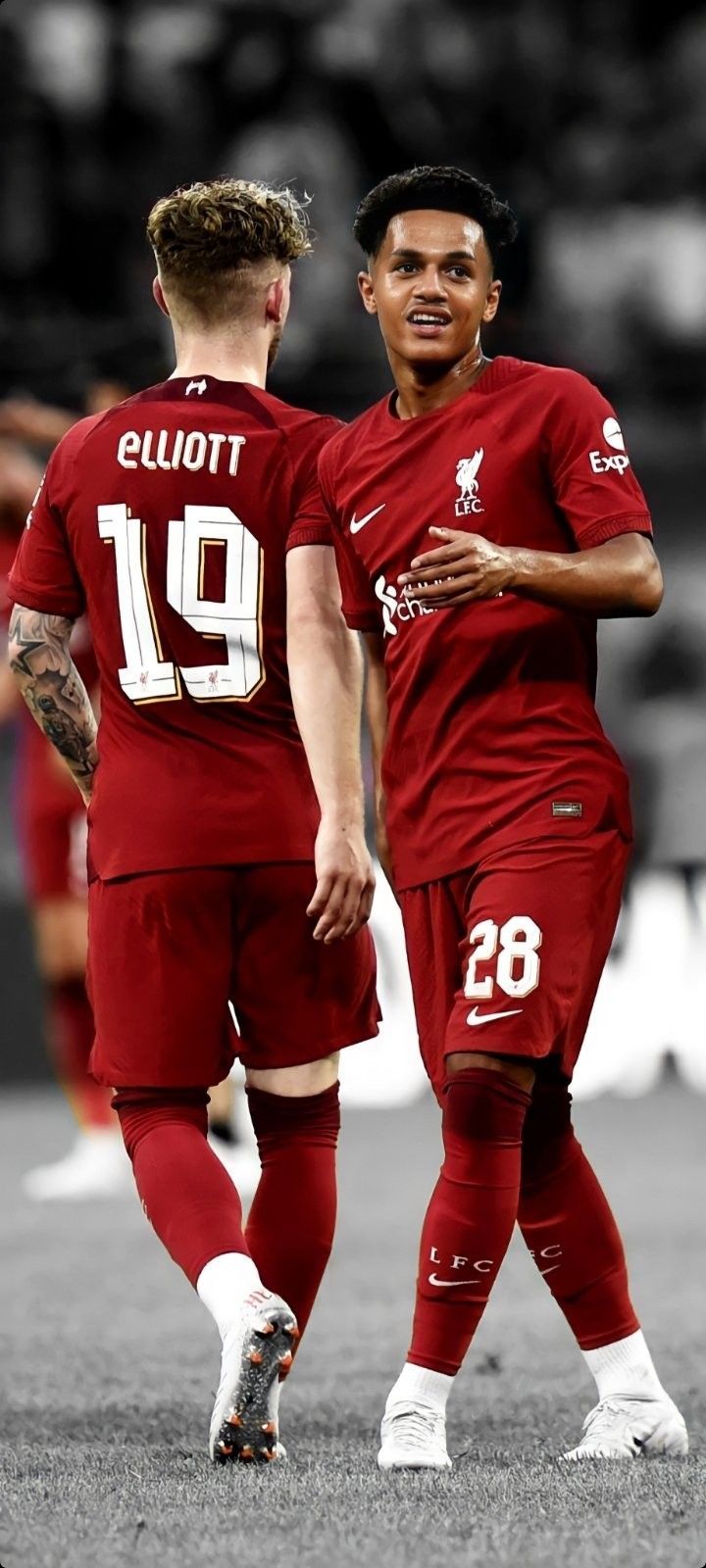 720x1600 Fabio Carvalho Wallpaper