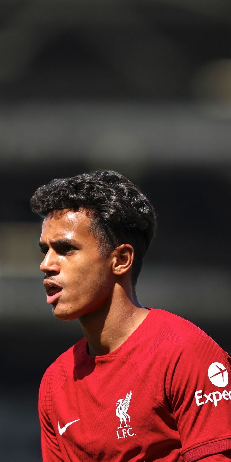 736x1472 Fabio Carvalho Wallpaper
