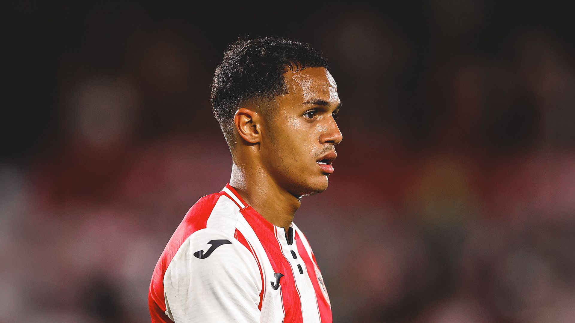 1920x1080 Brighton and Hove Albion v Brentford team news update: Fábio Carvalho ruled out with ACL injury